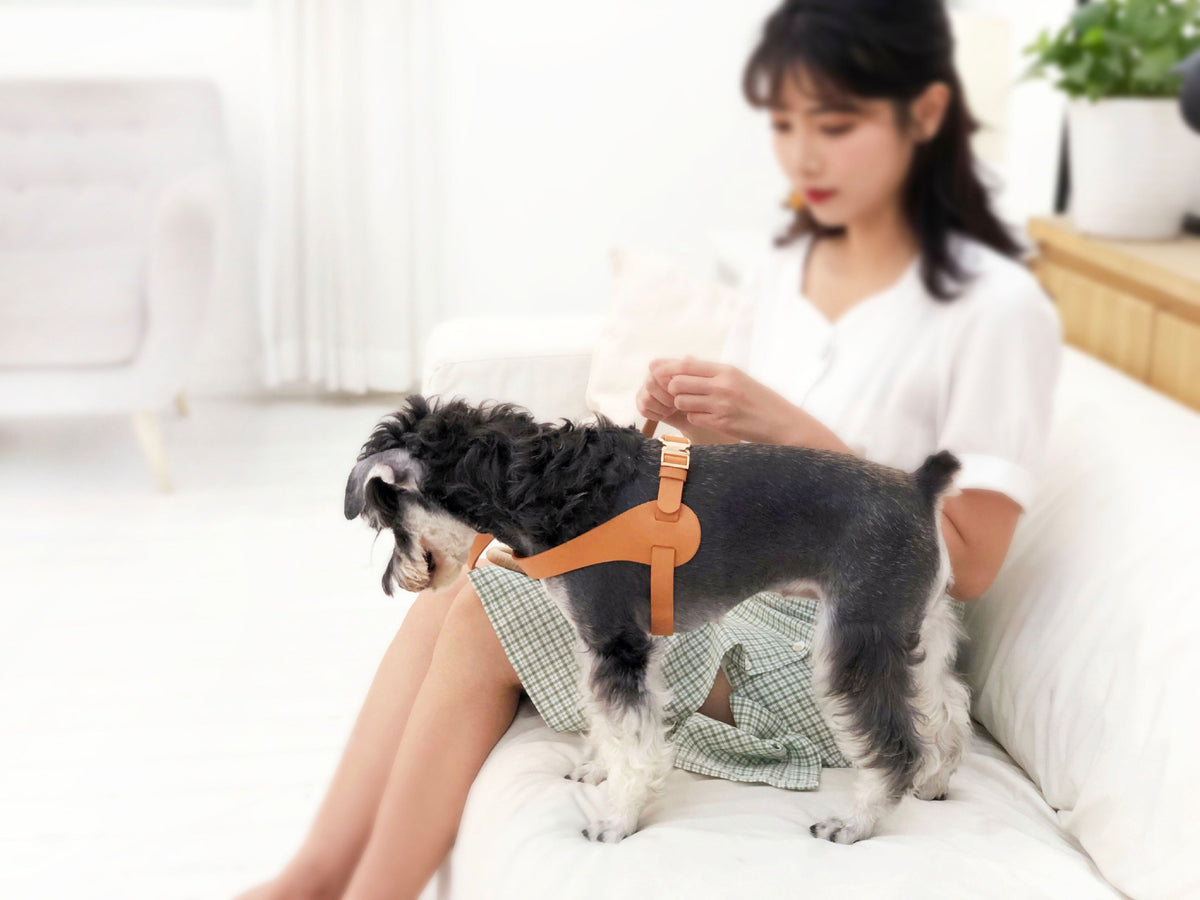 Pet Life Ever-Craft Boutique Series Adjustable Designer Leather Dog Harness