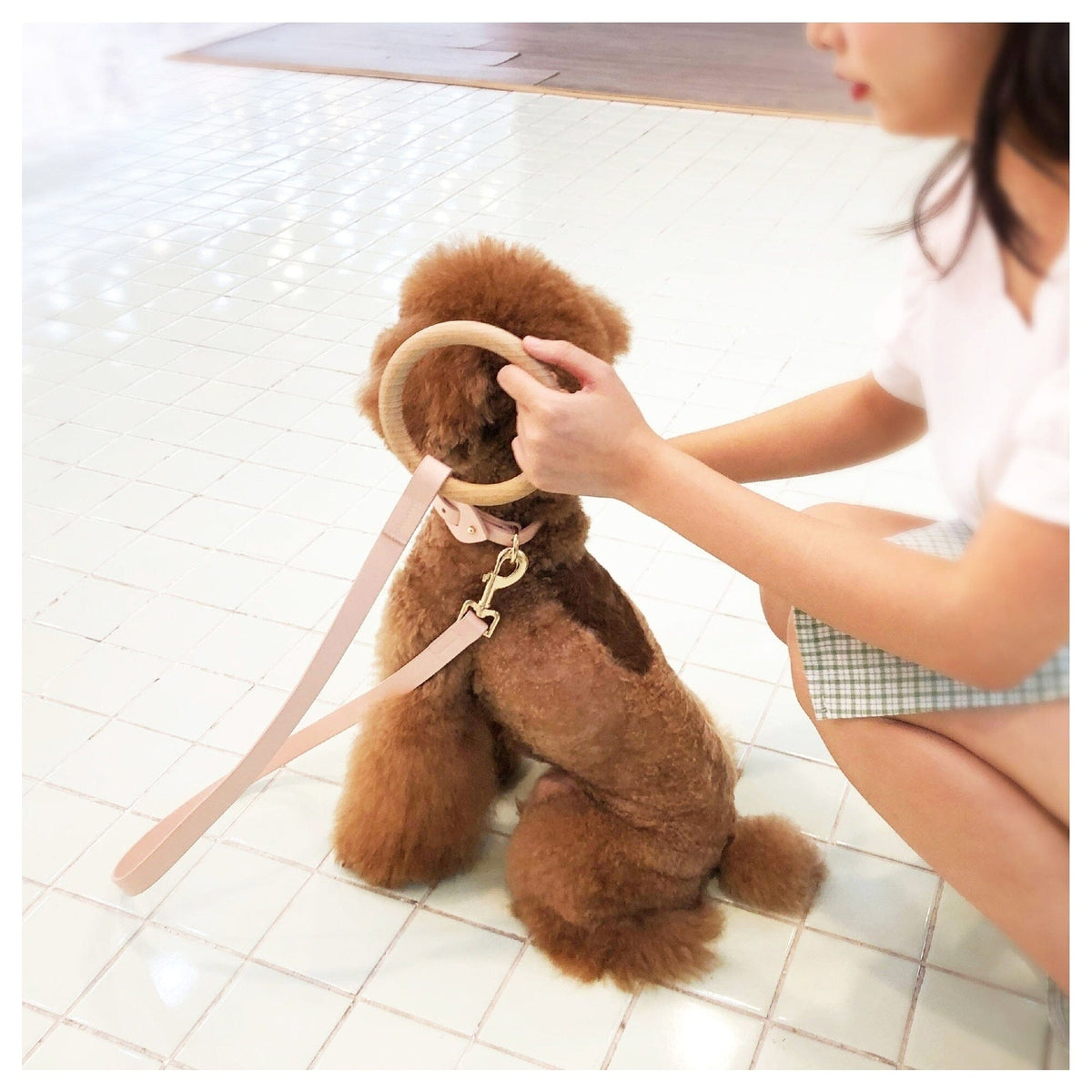 Pet Life Ever-Craft Boutique Series Beechwood and Leather Designer Dog Leash