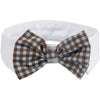 Pet Life Fashionable and Trendy Designer Dog Bowtie
