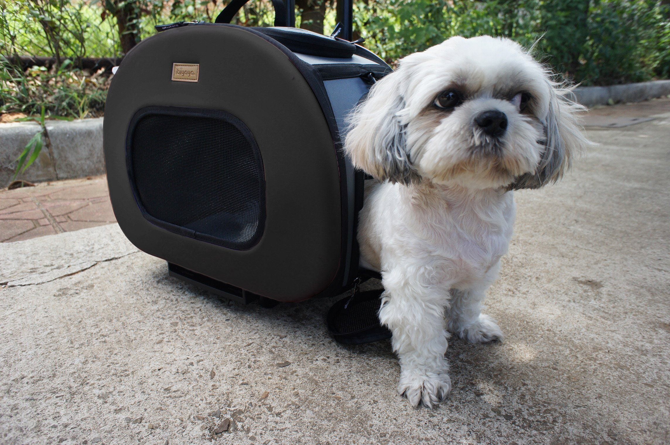 Pet Life Final Destination Airline Approved 2-in-1 Tough-Shell Wheeled Collapsible Travel Fashion Pet Dog Carrier Crate