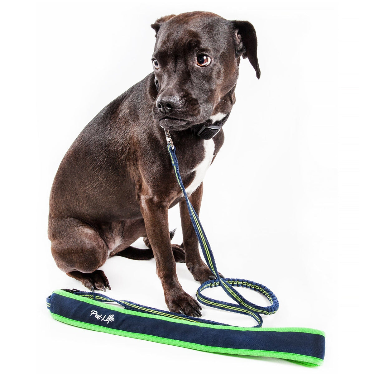 Pet Life Free-Fetcher Hands Free Over-The-Shoulder Shock Absorbent Dog Leash | HT Animal Supply