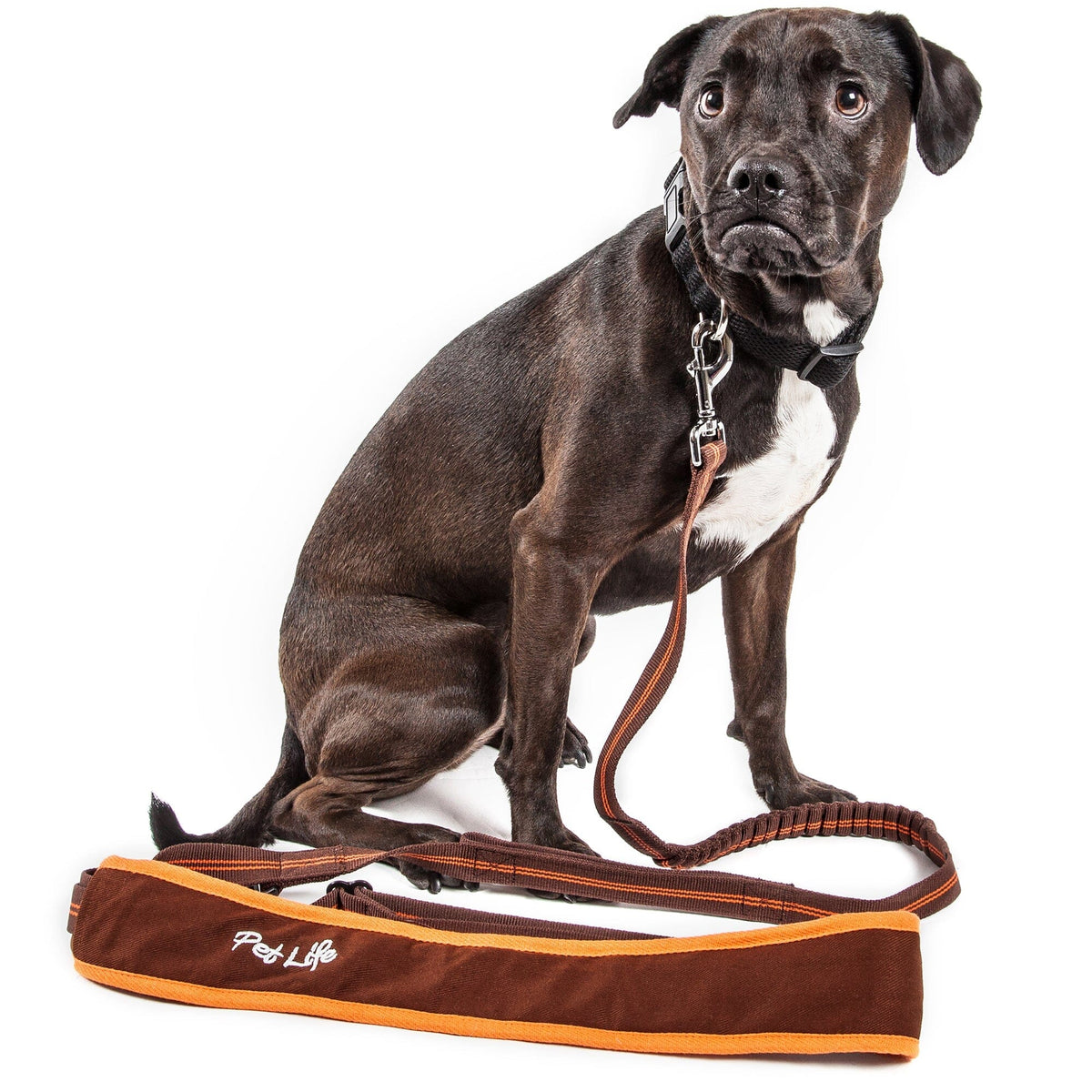 Pet Life Free-Fetcher Hands Free Over-The-Shoulder Shock Absorbent Dog Leash | HT Animal Supply