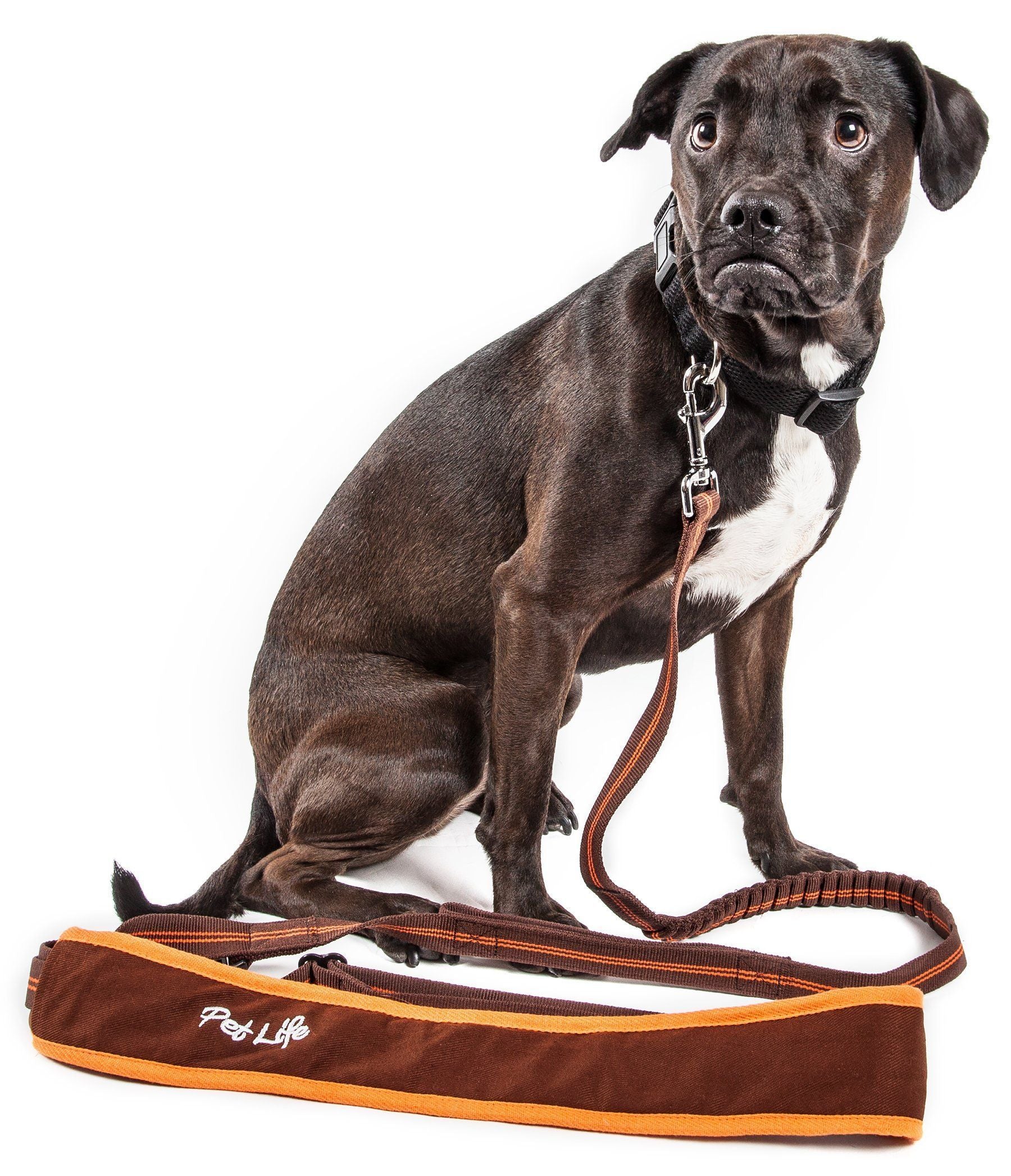 Pet Life ®  Free-Fetcher Hands Free Over-The-Shoulder Shock Absorbent Dog Leash