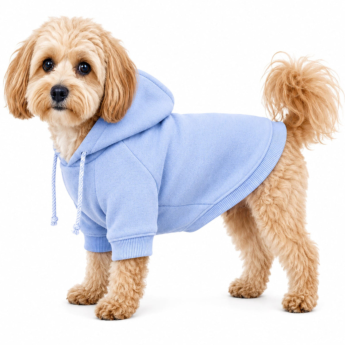 Pet Life French Terry Ultra-Soft Quick-Drying Hooded Dog Sweater | HT Animal Supply