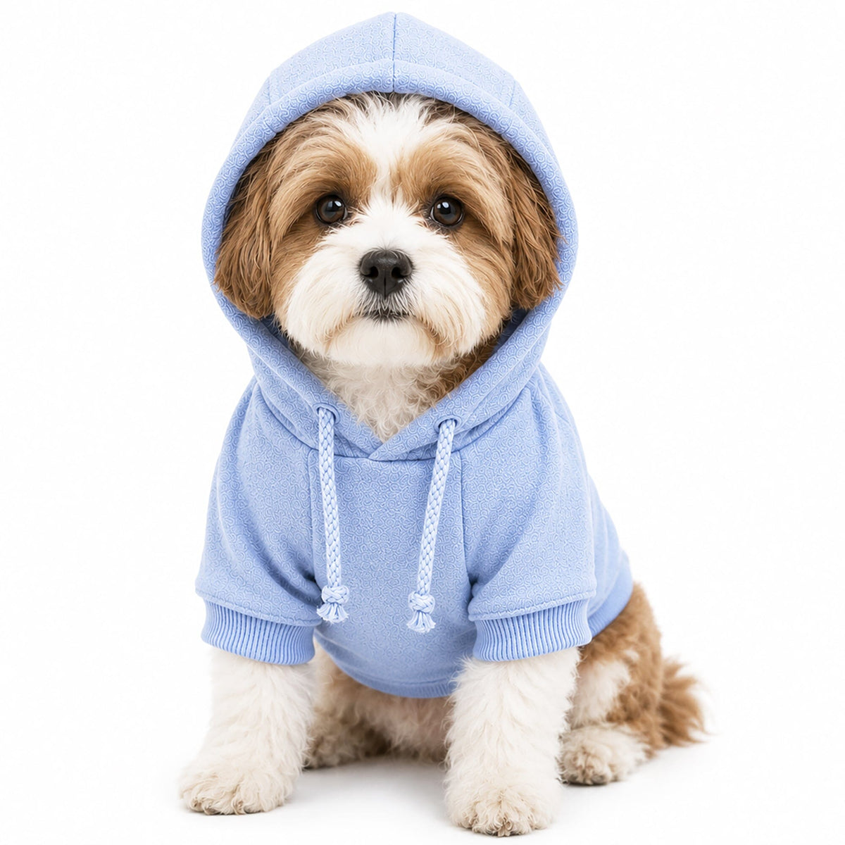 Pet Life French Terry Ultra-Soft Quick-Drying Hooded Dog Sweater | HT Animal Supply