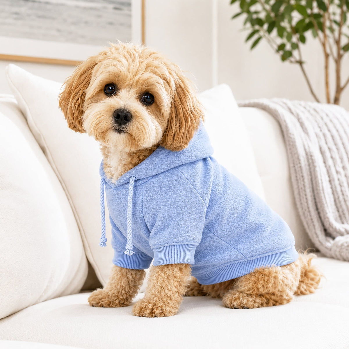Pet Life French Terry Ultra-Soft Quick-Drying Hooded Dog Sweater | HT Animal Supply