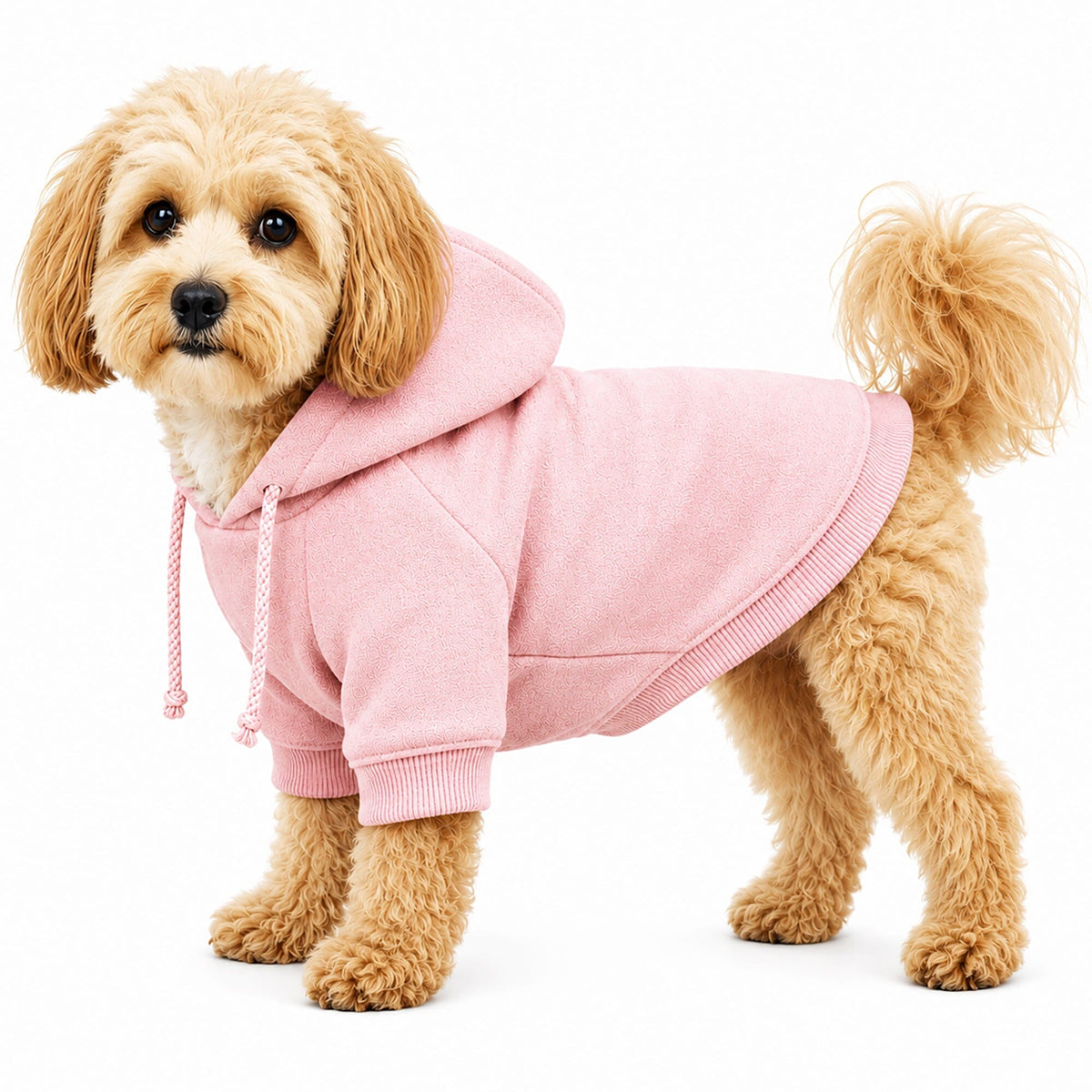 Pet Life French Terry Ultra-Soft Quick-Drying Hooded Dog Sweater | HT Animal Supply