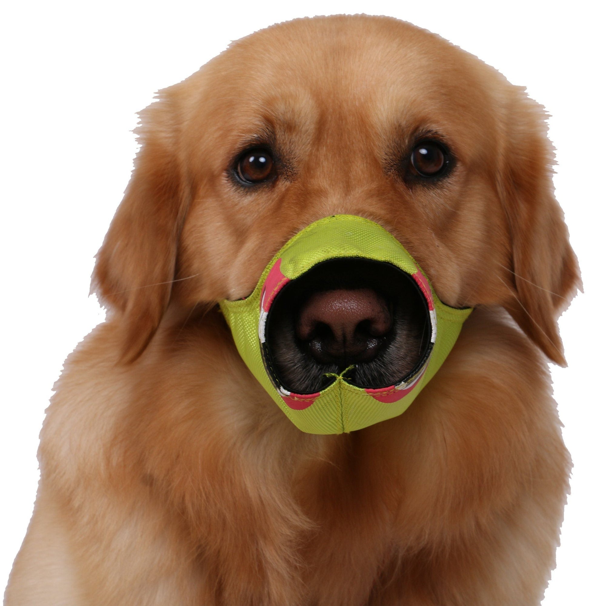 Pet Life Funimation Animated Nylon Mesh Protective Travel Anti-Bark Dog Muzzle