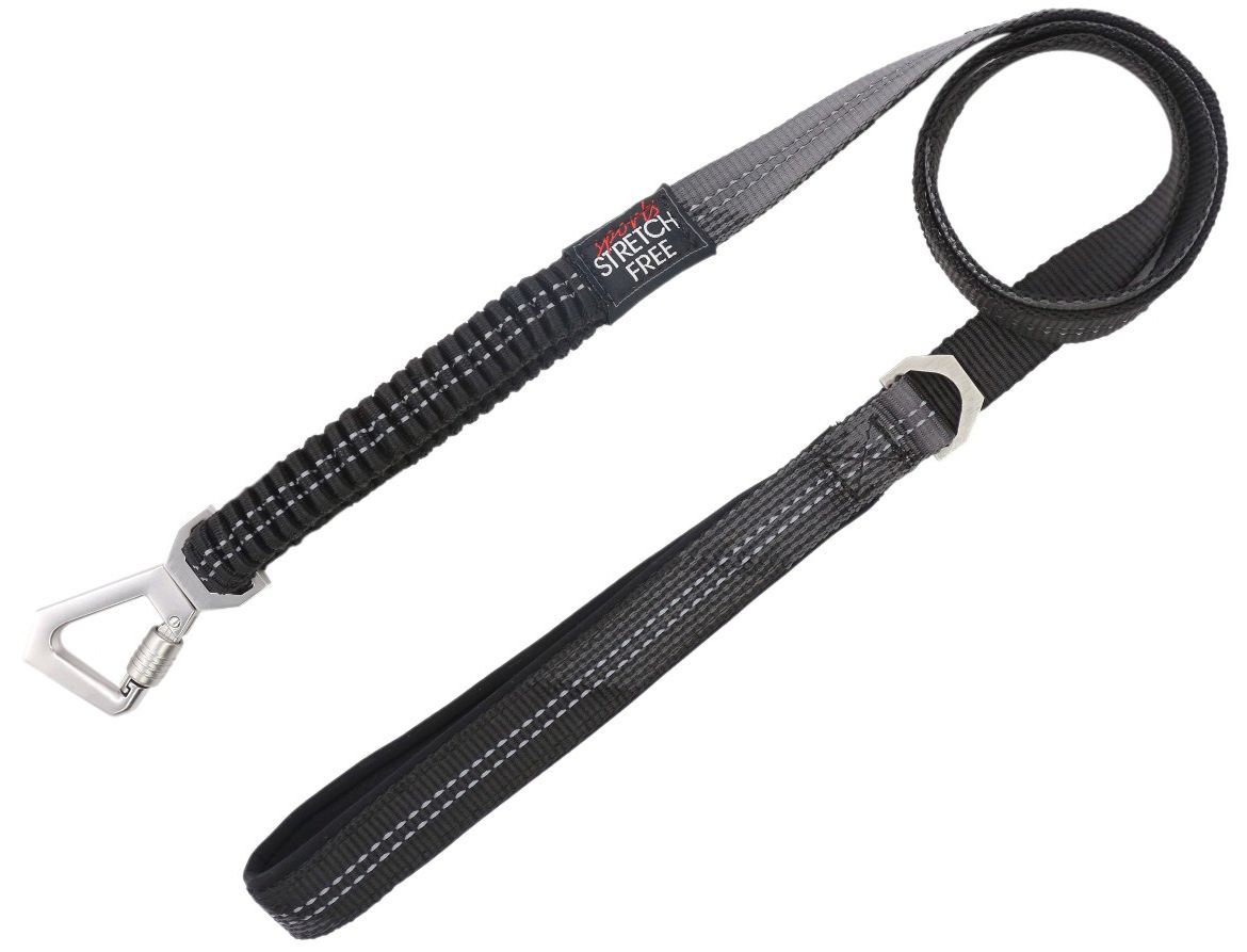 Pet Life Geo-prene 2-in-1 Shock Absorbing Neoprene Padded Reflective Dog Leash and Harness
