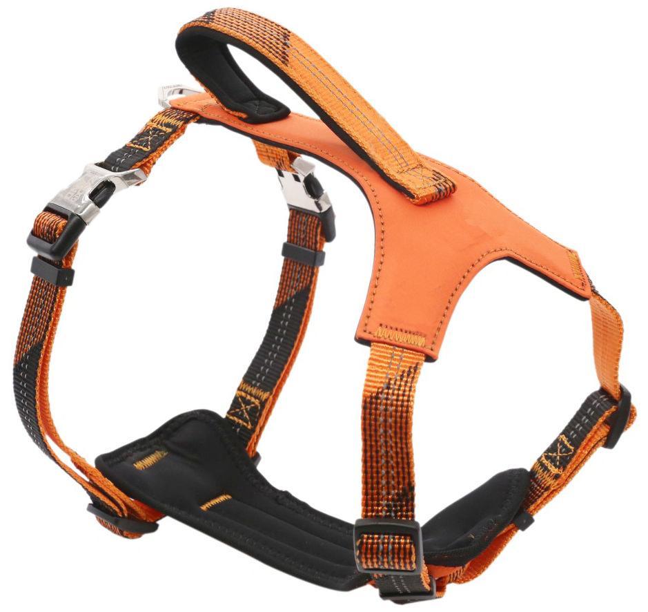 Pet Life Geo-prene 2-in-1 Shock Absorbing Neoprene Padded Reflective Dog Leash and Harness