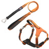 Pet Life ® Geo-prene 2-in-1 Shock Absorbing Neoprene Padded Reflective Dog Leash and Harness