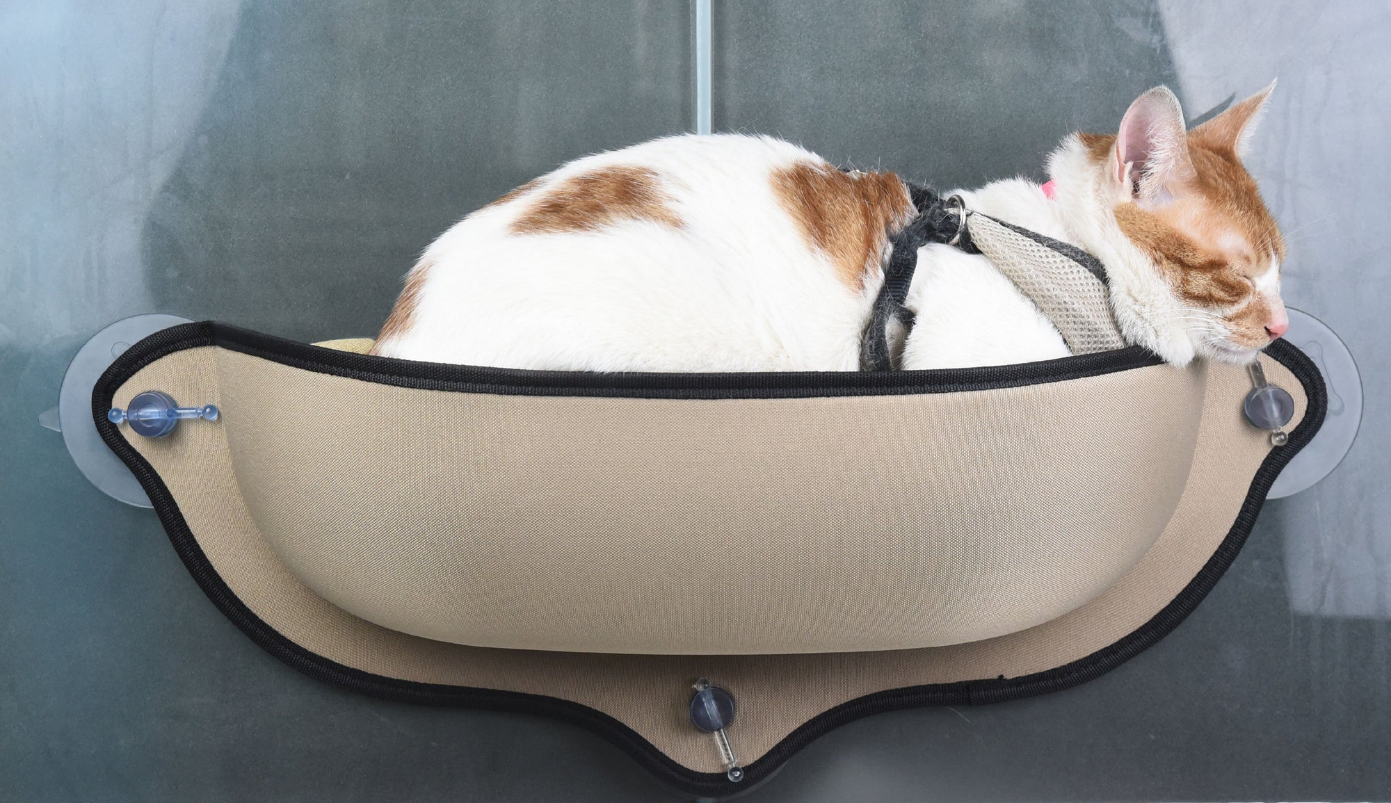 Pet Life Gravity-Lounge Suction Cup Kitty Cat Lounger and Bed