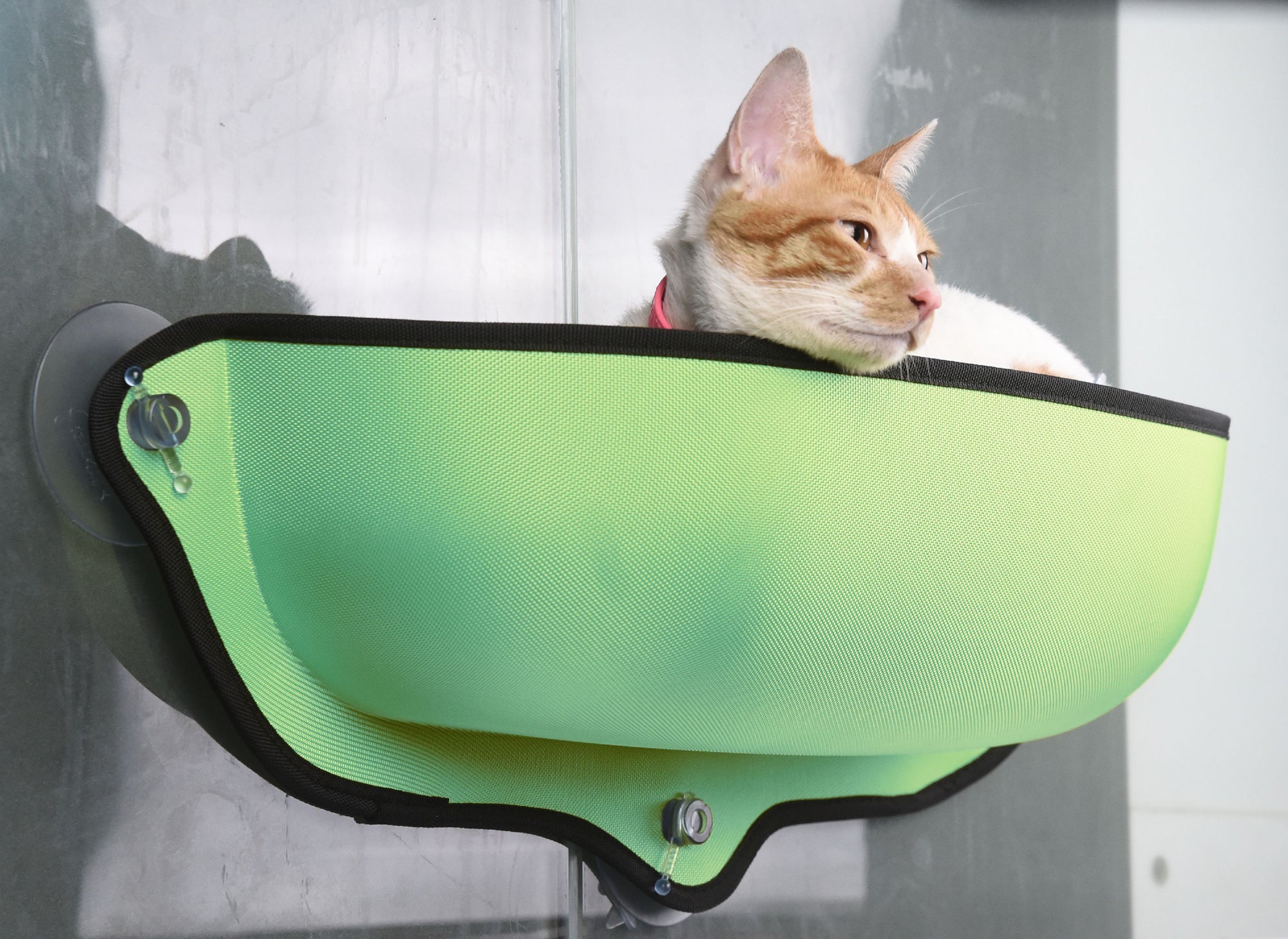 Pet Life Gravity-Lounge Suction Cup Kitty Cat Lounger and Bed