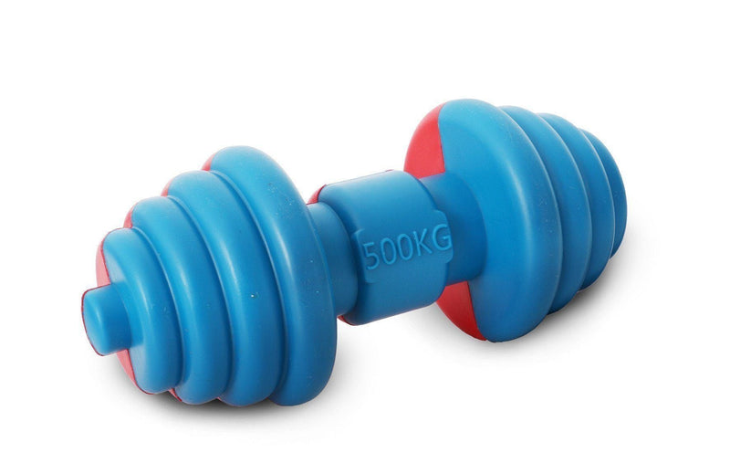 Pet Life Iron Wag Durable Chew and Fetch TPR Waterproof Floating Dog Toy