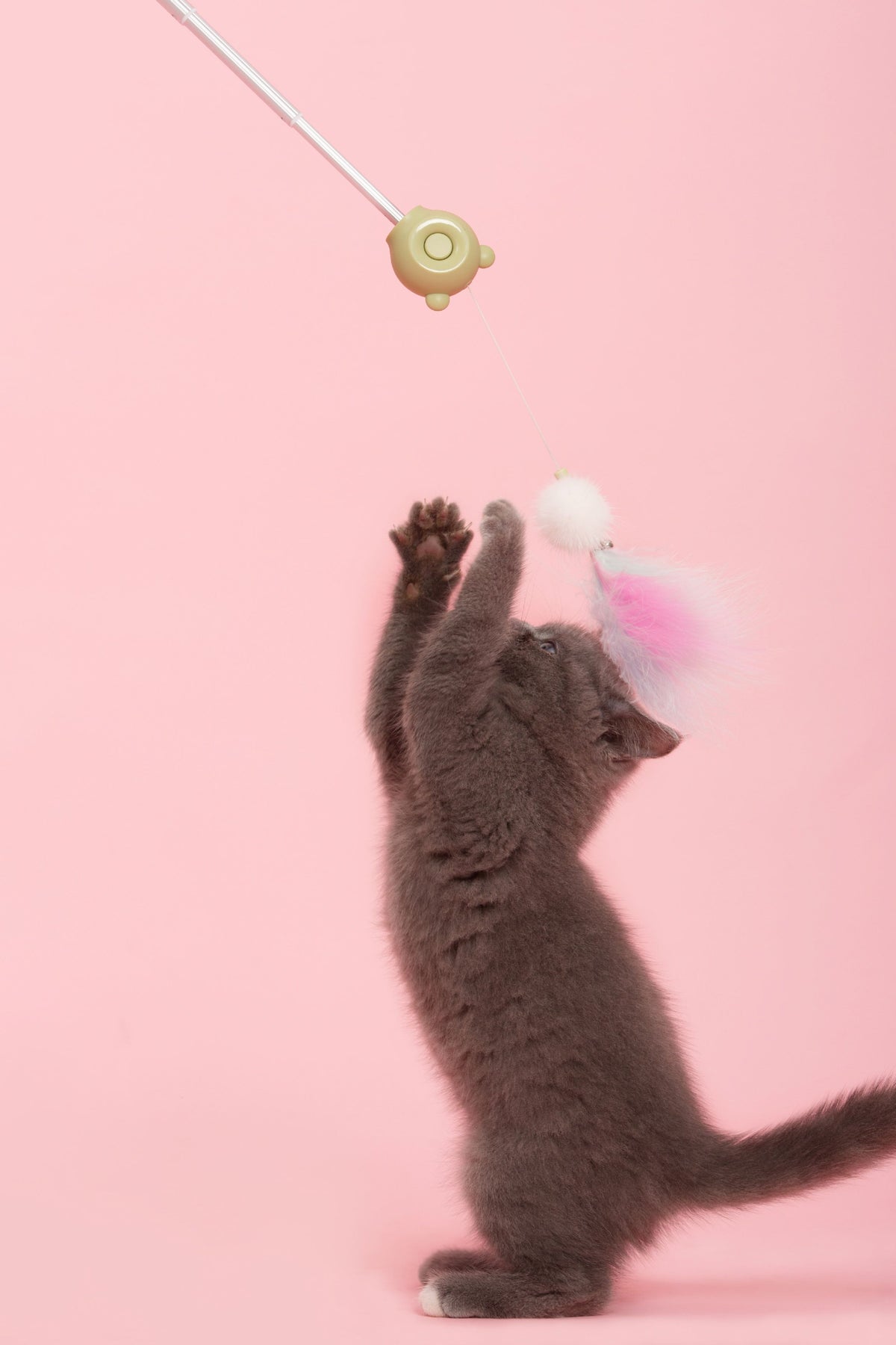 Pet Life KITIQUE" 3-in-1 Retractable and Extendable Feathered and Laser Wand Kitty Cat Teaser