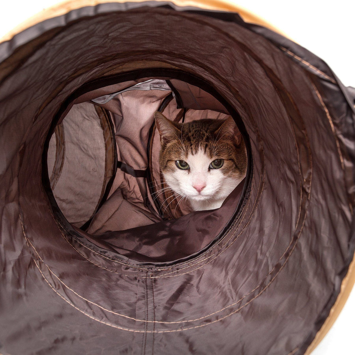 Pet Life Kitting-Go-Seek Collapsible Folding Travel 3-way Kitty Cat Tunnel