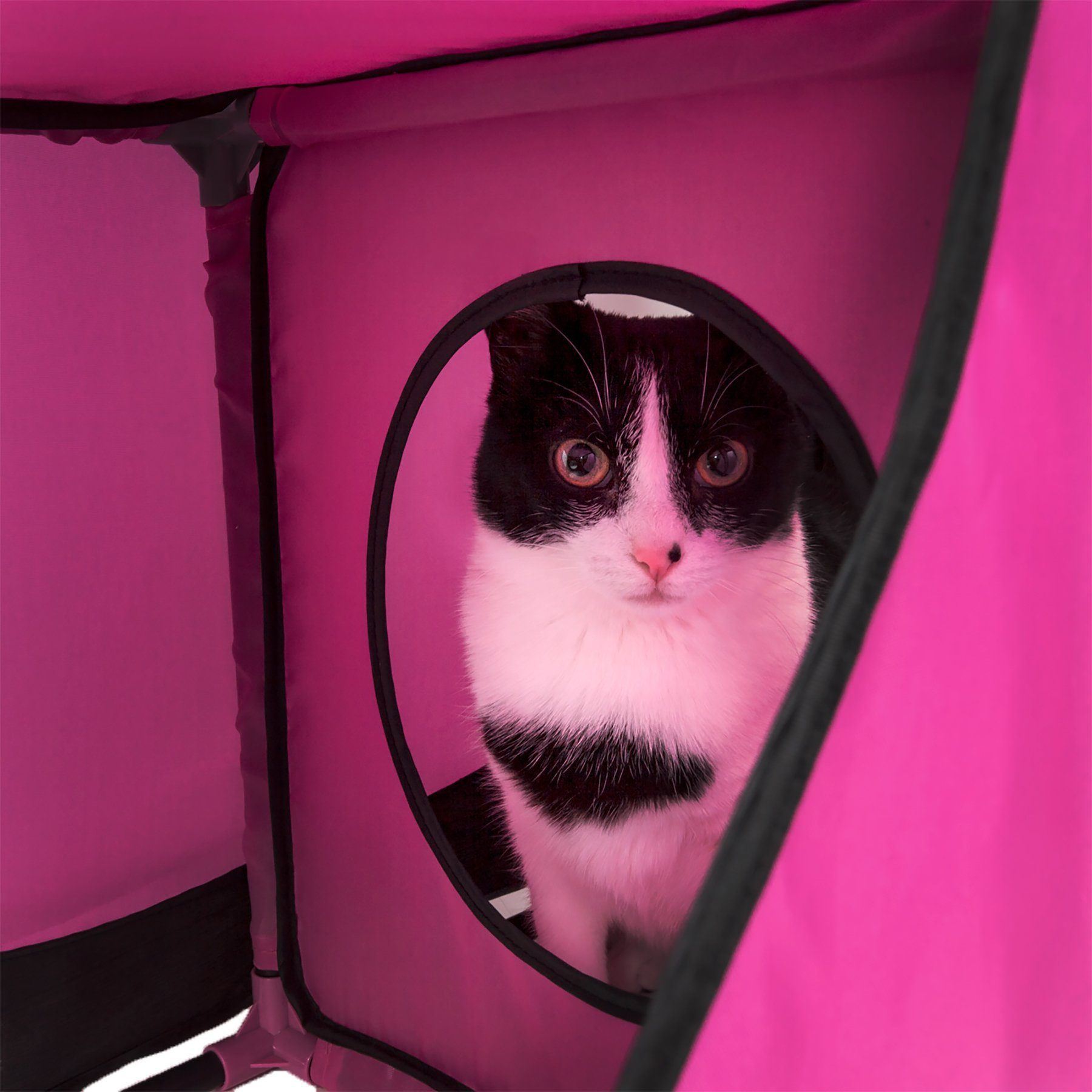 Pet Life Kitty-Play Collapsible Travel Interactive Kitty Cat Tree Maze House Lounger Tunnel Lounge