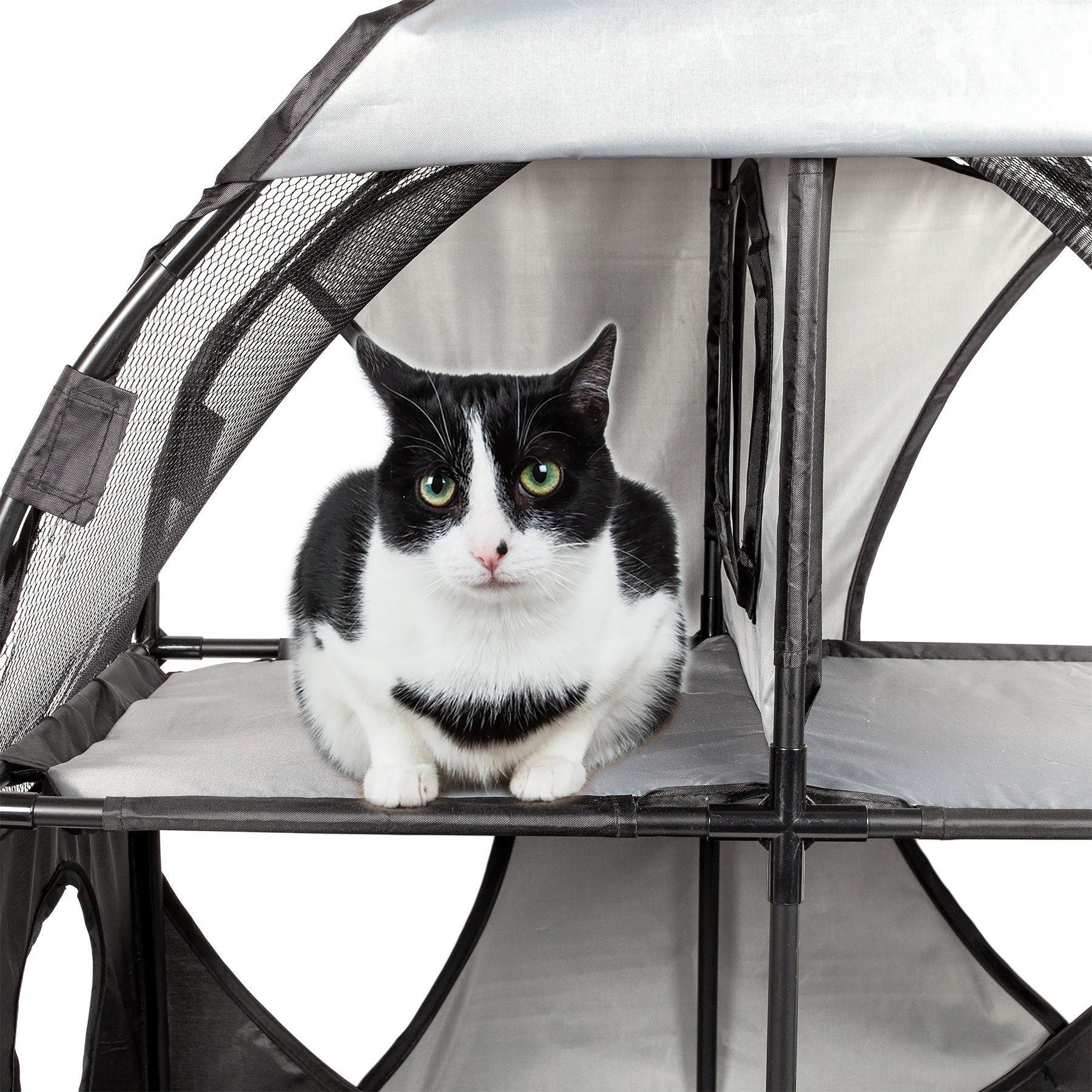Pet Life Kitty-Play Collapsible Travel Interactive Kitty Cat Tree Maze House Lounger Tunnel Lounge
