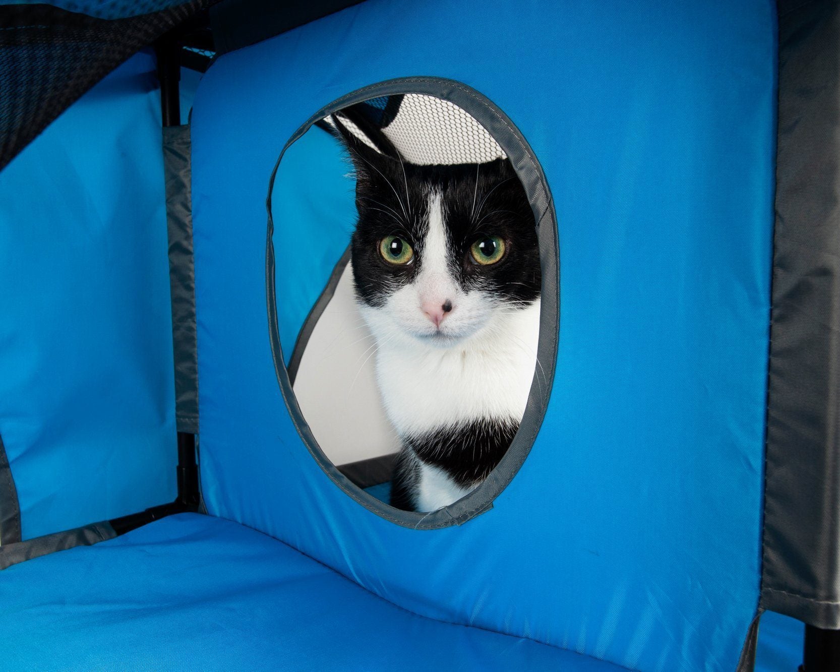 Pet Life ® Kitty-Play Collapsible Travel Interactive Kitty Cat Tree Maze House Lounger Tunnel Lounge
