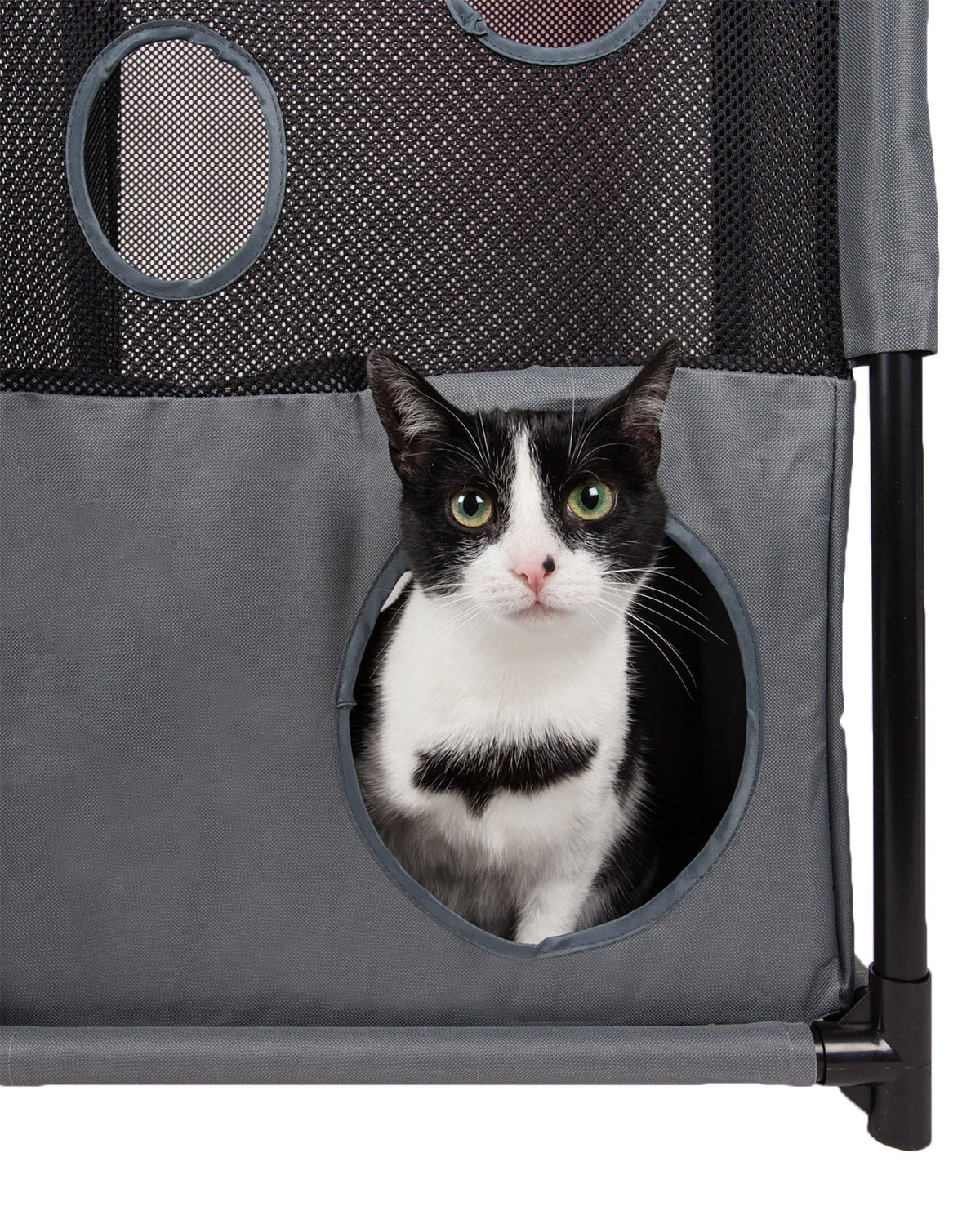 Pet Life Kitty-Square Collapsible Travel Interactive Kitty Cat Tree Maze House Lounger Tunnel Lounge