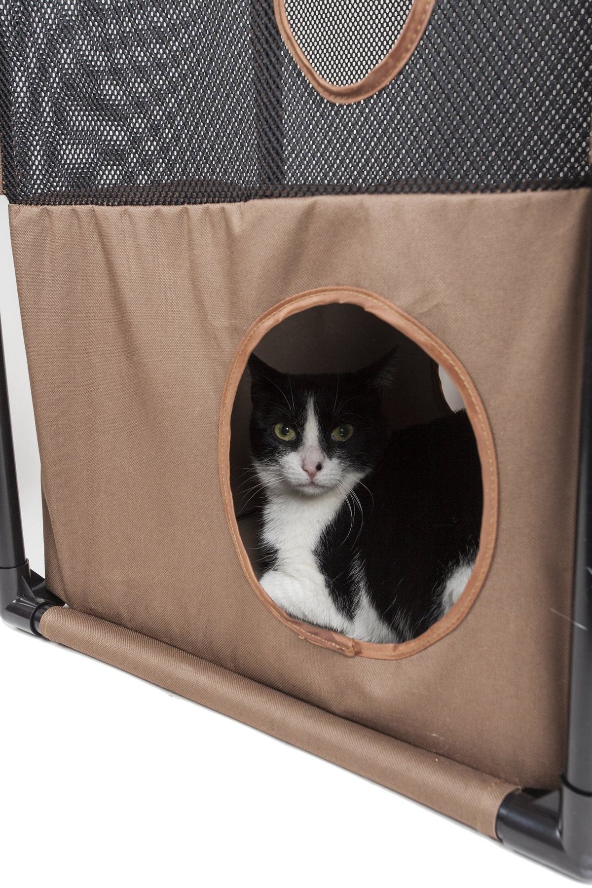Pet Life Kitty-Square Collapsible Travel Interactive Kitty Cat Tree Maze House Lounger Tunnel Lounge