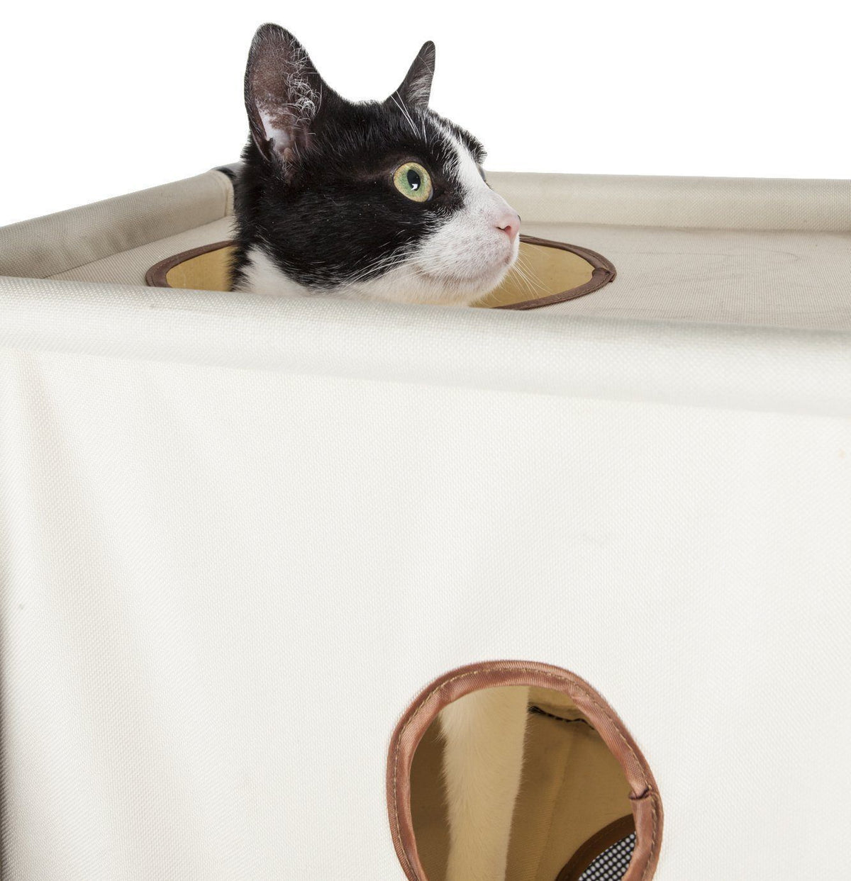 Pet Life Kitty-Square Collapsible Travel Interactive Kitty Cat Tree Maze House Lounger Tunnel Lounge