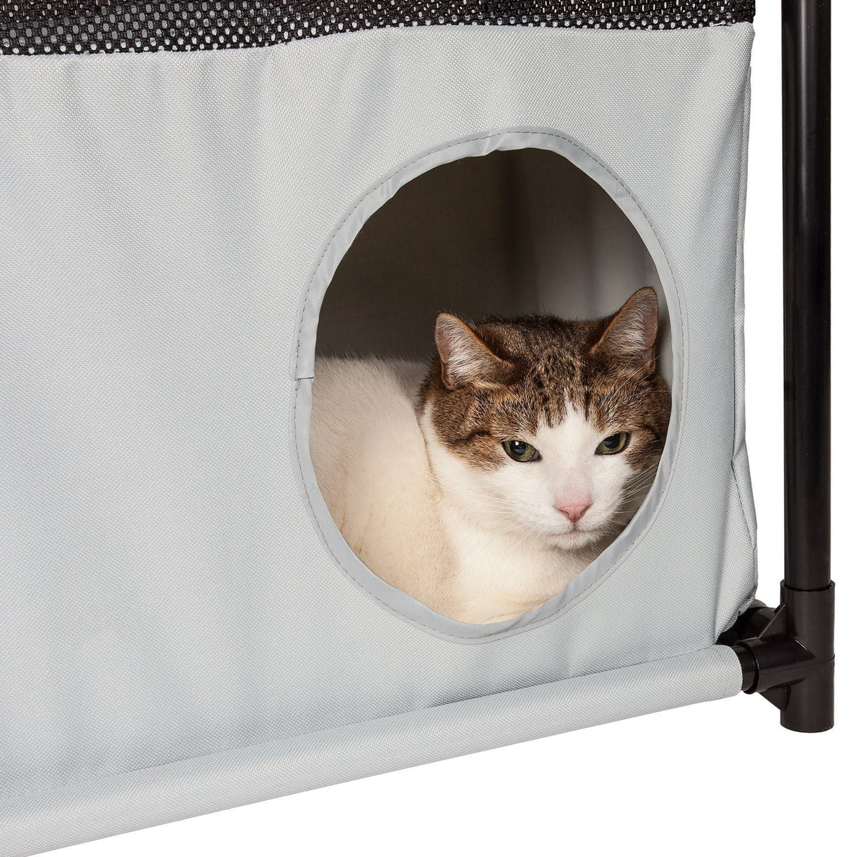 Pet Life Kitty-Square Collapsible Travel Interactive Kitty Cat Tree Maze House Lounger Tunnel Lounge