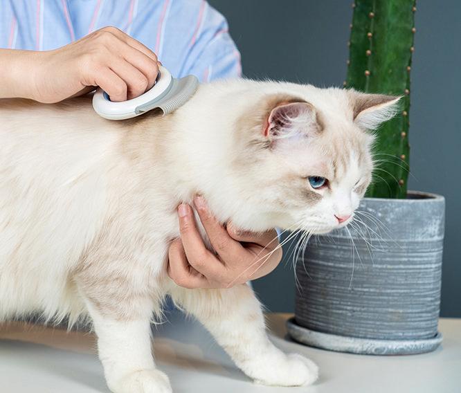 Pet Life Knuckler Handheld Travel Flexible Grooming Pet Rake Comb