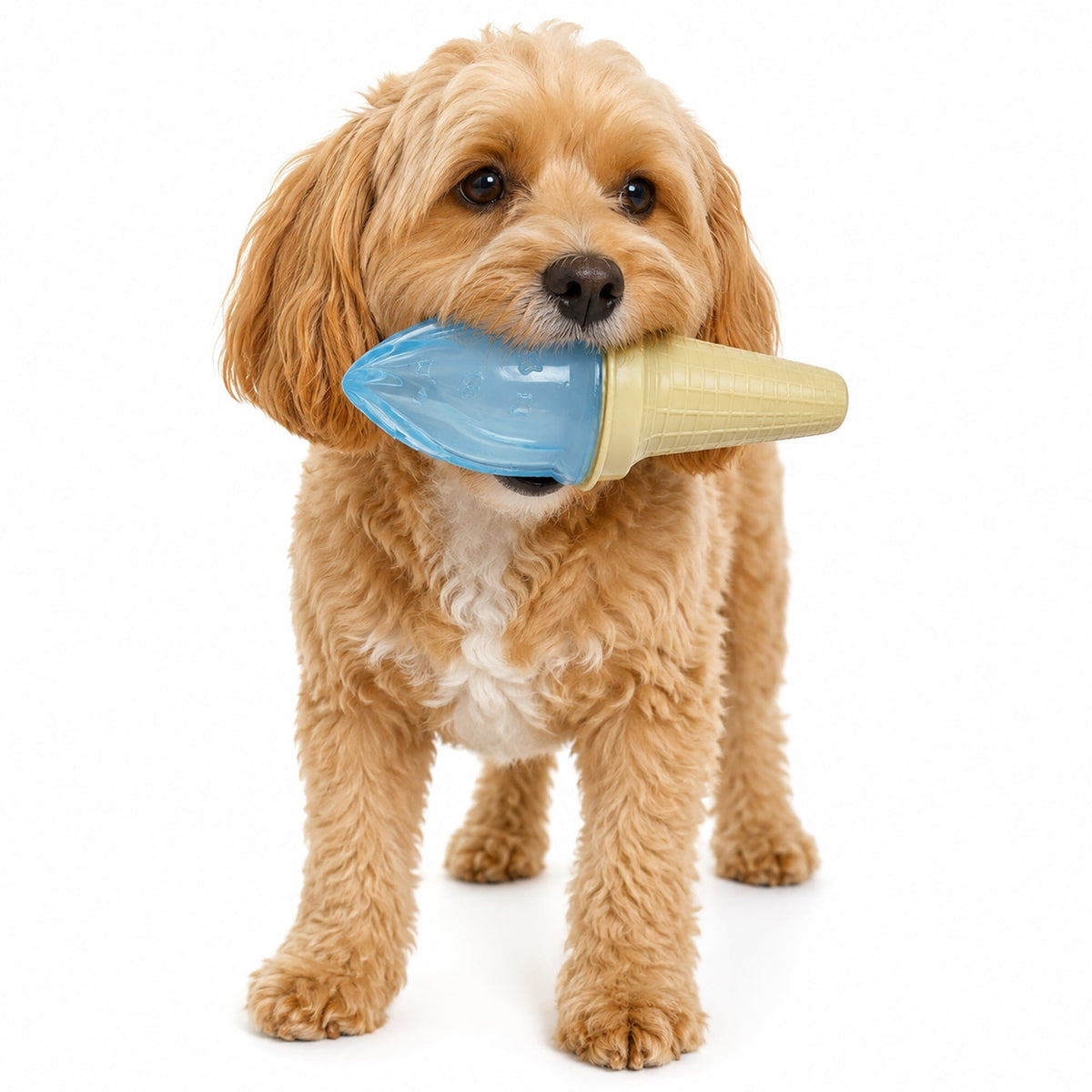 Pet Life Lick & Gnaw Ice Cream Cone Freezable and Chewable Tossing Waterproof Floating Pet Dog Toy w/ Insertable Treat pocket