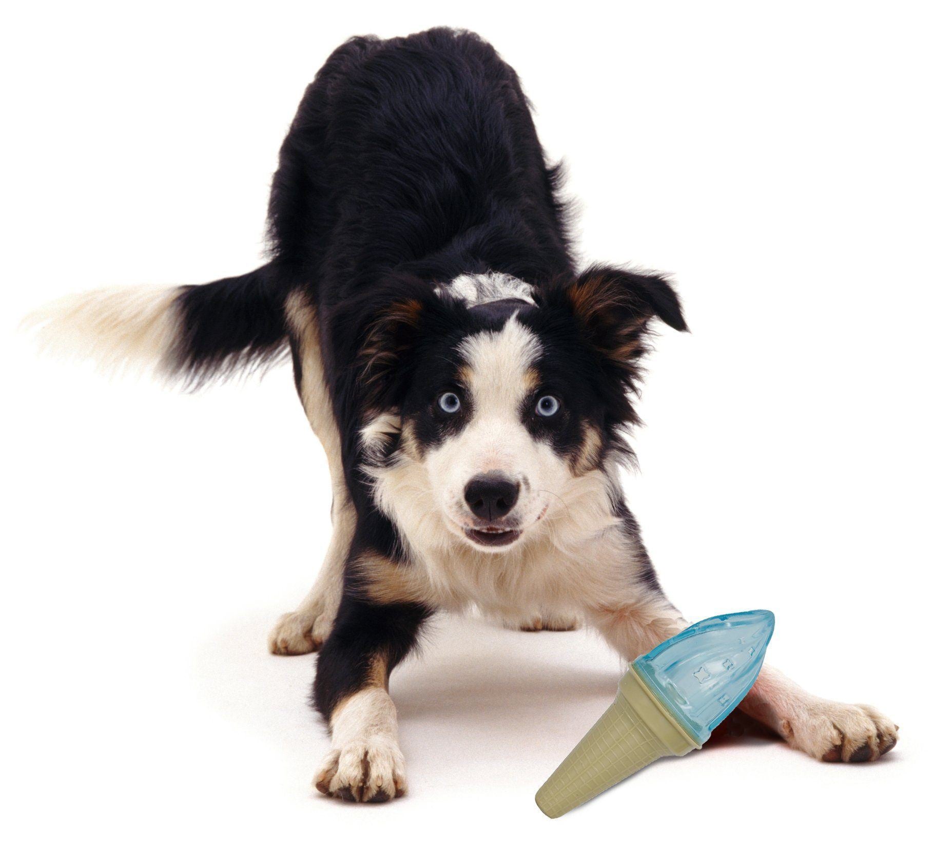 Pet Life Lick & Gnaw Ice Cream Cone Freezable and Chewable Tossing Waterproof Floating Pet Dog Toy w/ Insertable Treat pocket
