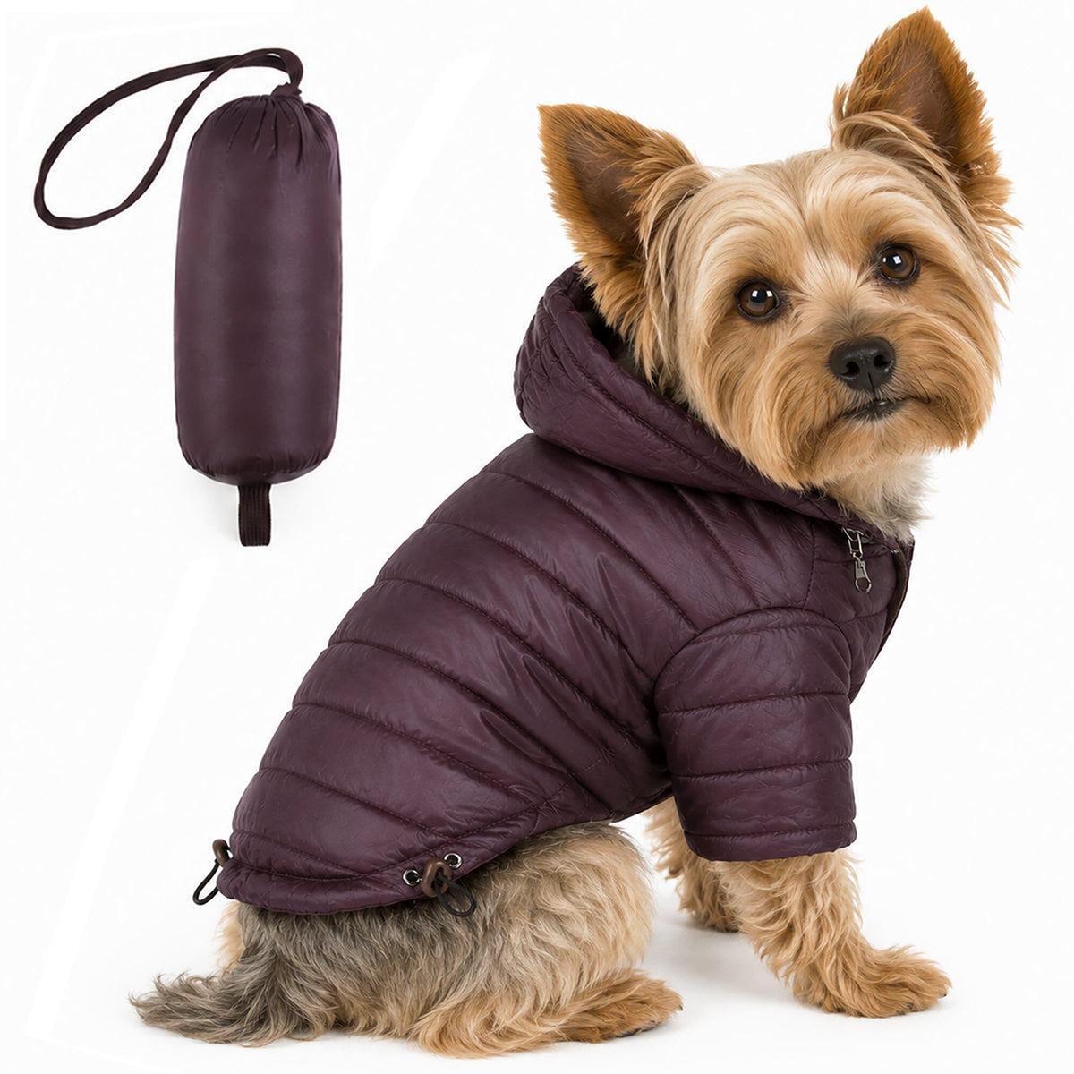 Pet Life Lightweight Adjustable and Collapsible Sporty Avalanche Dog Coat w/ Pop-out Zippered Hood | HT Animal Supply