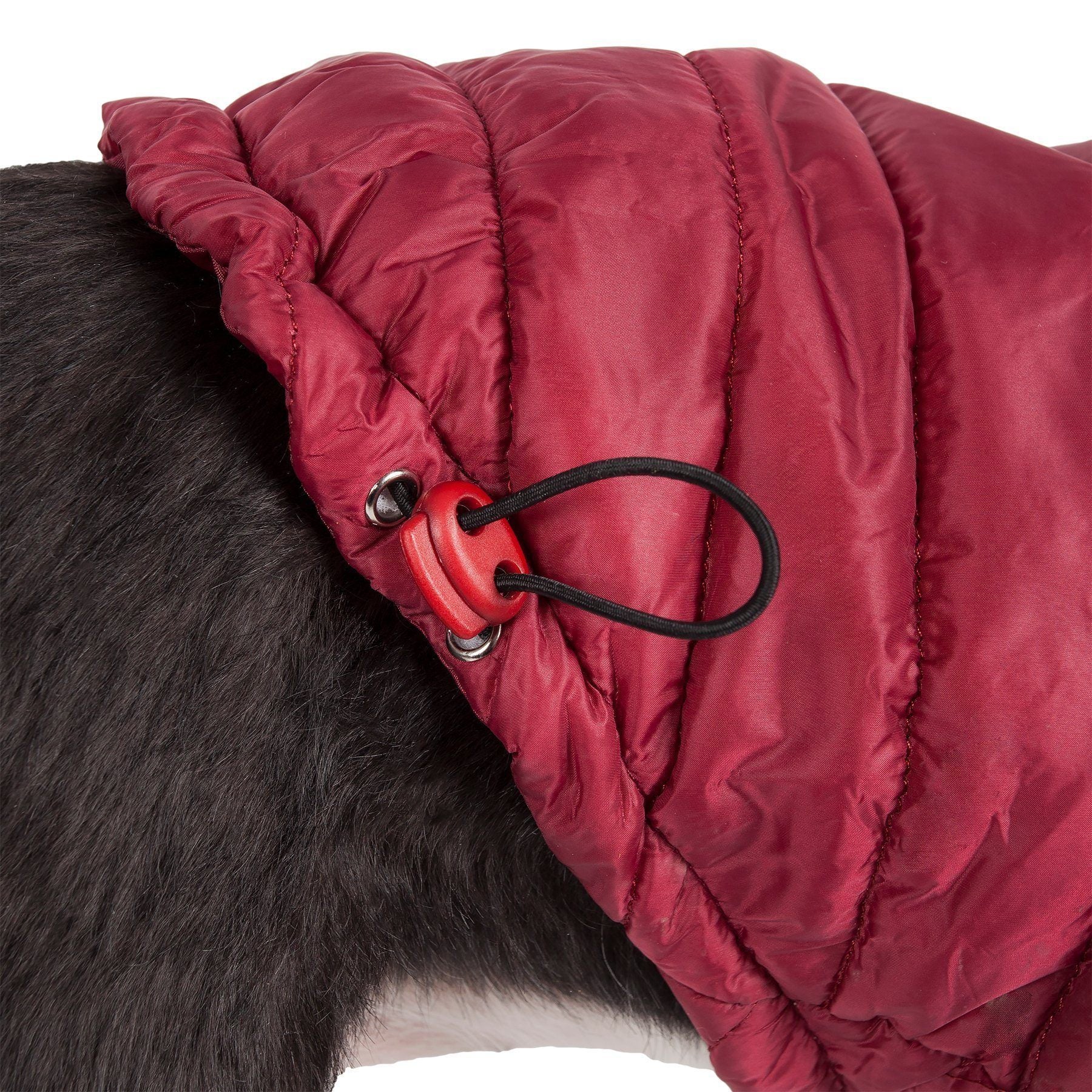 Pet Life Lightweight Adjustable and Collapsible Sporty Avalanche Dog Coat w/ Pop-out Zippered Hood