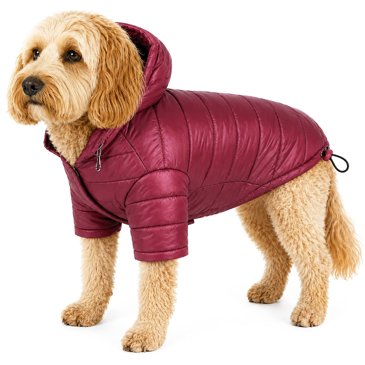 Pet Life Lightweight Adjustable and Collapsible Sporty Avalanche Dog Coat w/ Pop-out Zippered Hood | HT Animal Supply