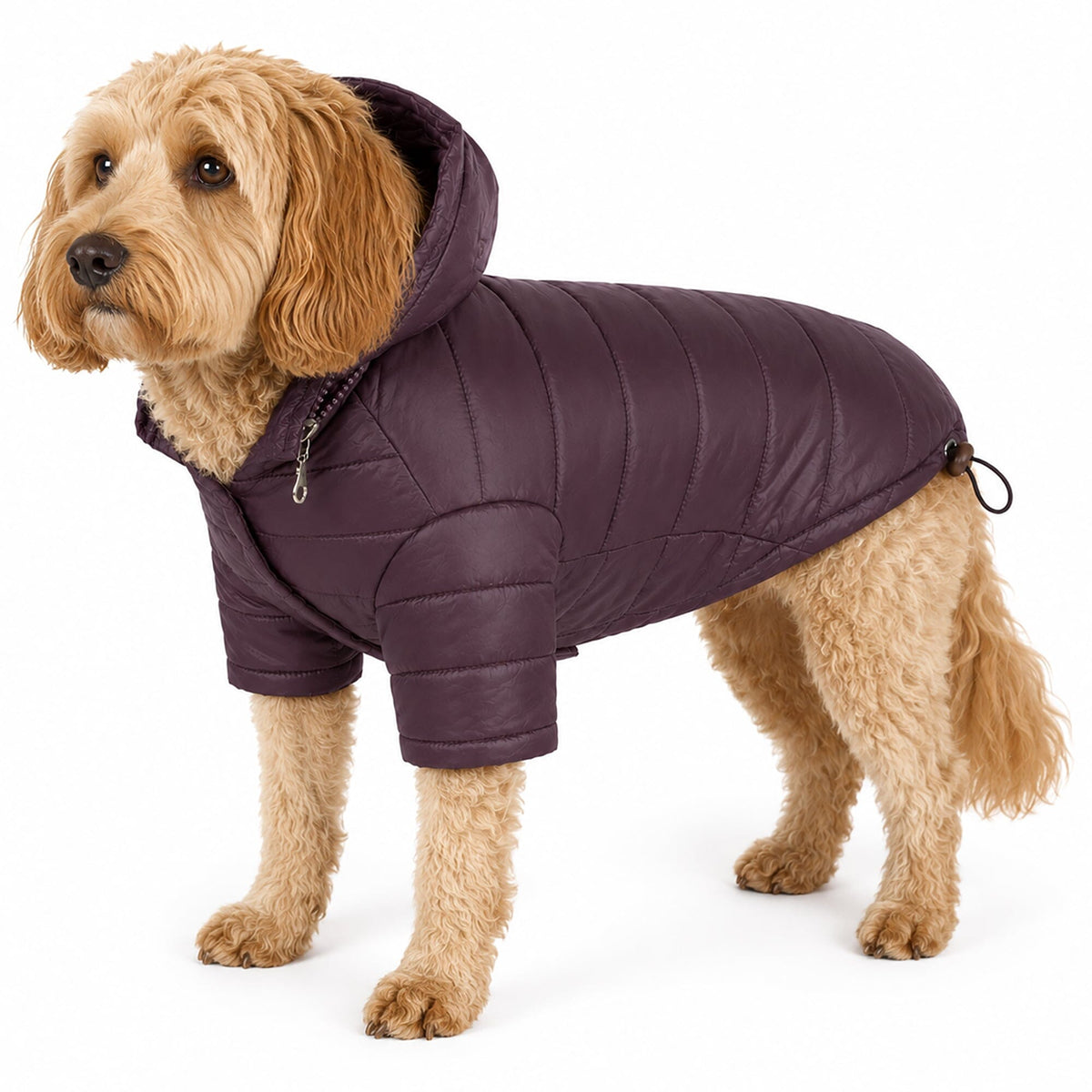 Pet Life Lightweight Adjustable and Collapsible Sporty Avalanche Dog Coat w/ Pop-out Zippered Hood | HT Animal Supply