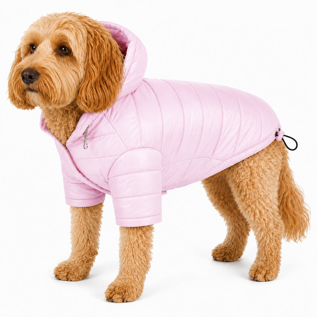 Pet Life Lightweight Adjustable and Collapsible Sporty Avalanche Dog Coat w/ Pop-out Zippered Hood | HT Animal Supply