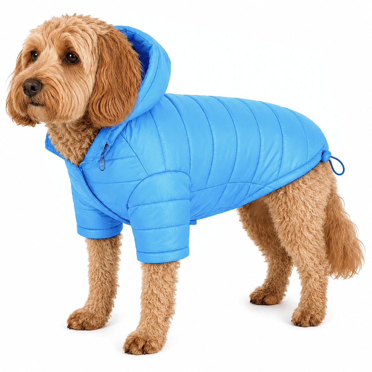 Pet Life Lightweight Adjustable and Collapsible Sporty Avalanche Dog Coat w/ Pop-out Zippered Hood | HT Animal Supply