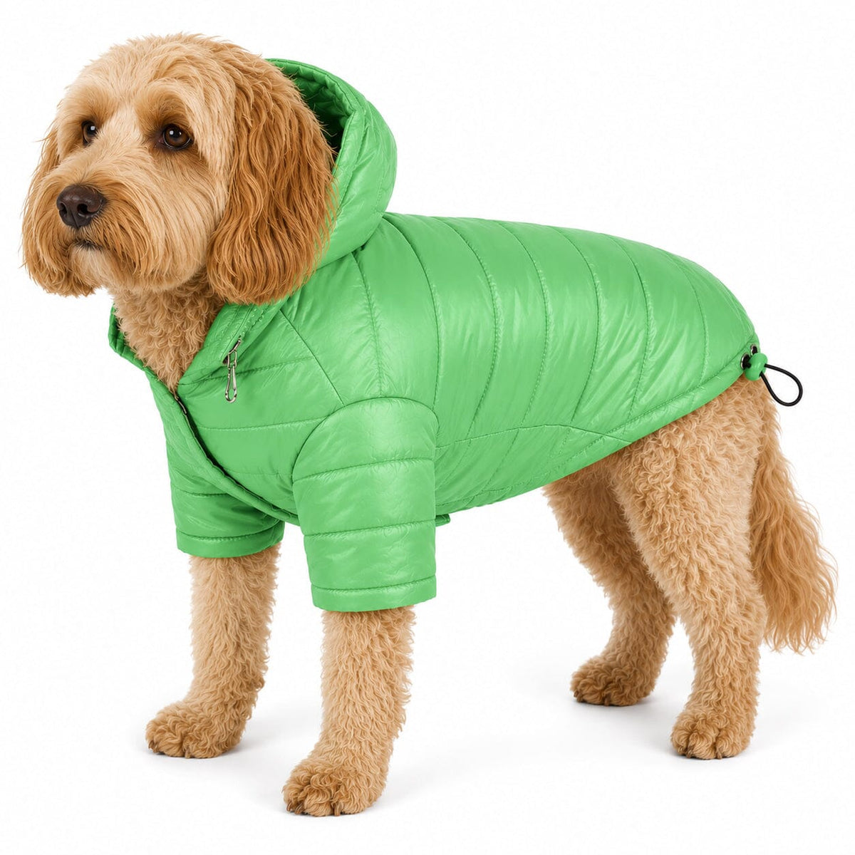 Pet Life Lightweight Adjustable and Collapsible Sporty Avalanche Dog Coat w/ Pop-out Zippered Hood | HT Animal Supply