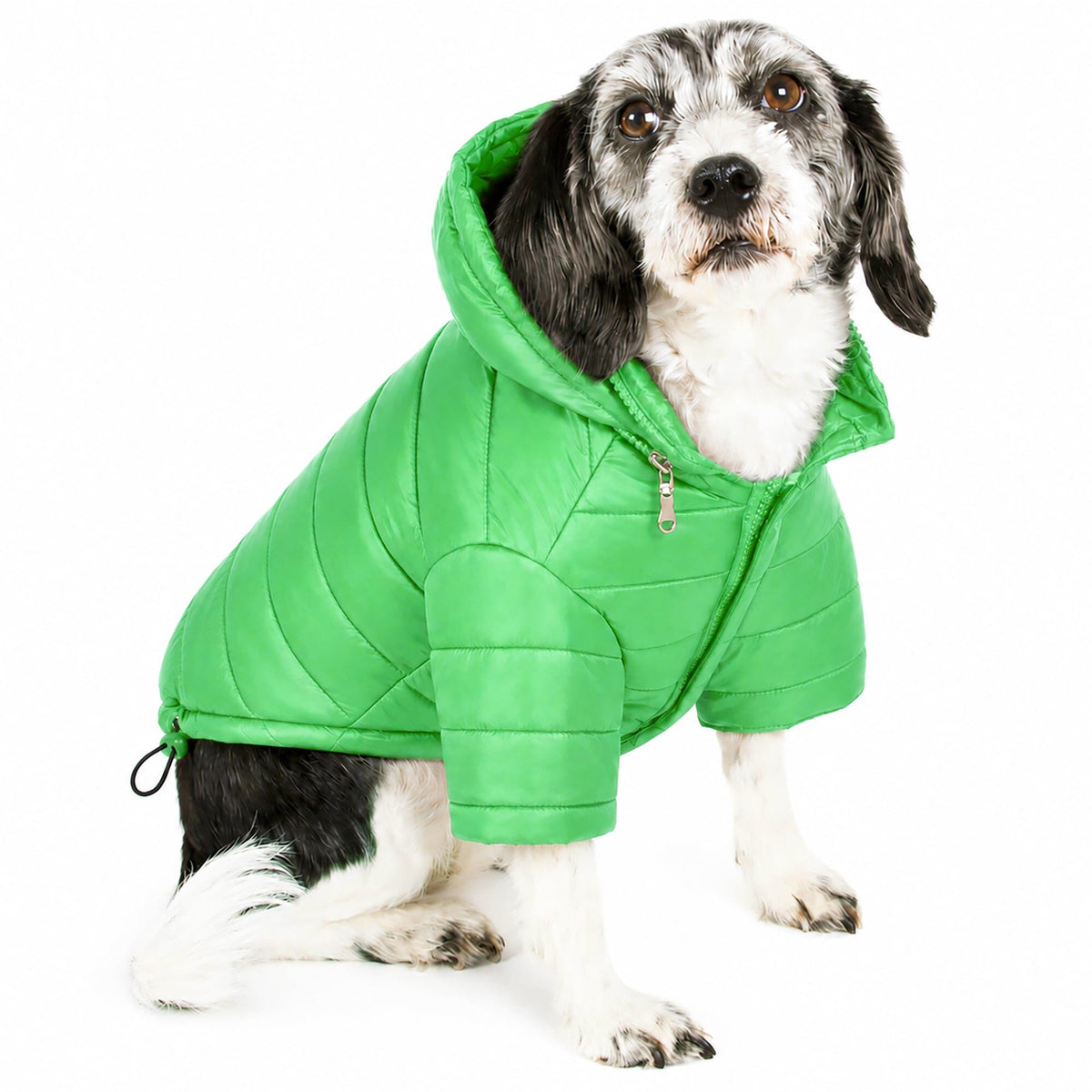 Pet Life Lightweight Adjustable and Collapsible Sporty Avalanche Dog Coat w/ Pop-out Zippered Hood | HT Animal Supply