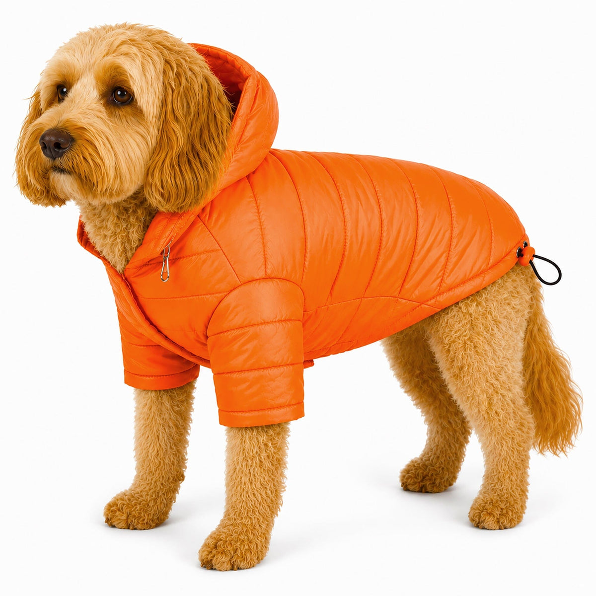 Pet Life Lightweight Adjustable and Collapsible Sporty Avalanche Dog Coat w/ Pop-out Zippered Hood | HT Animal Supply