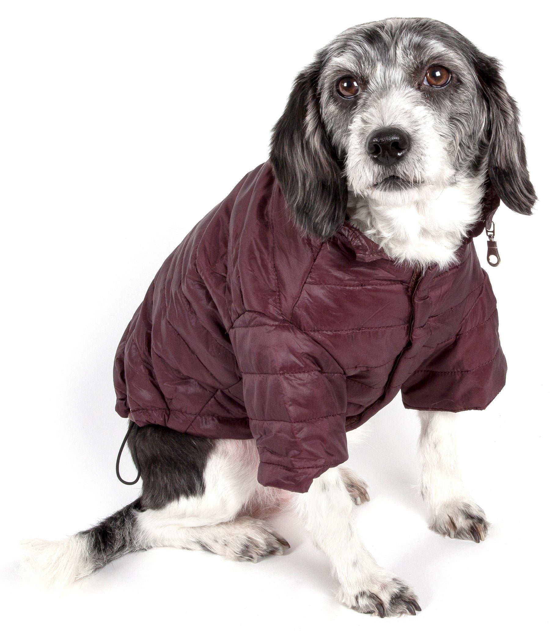 Pet Life ® Lightweight Adjustable and Collapsible Sporty Avalanche Dog Coat w/ Pop-out Zippered Hood