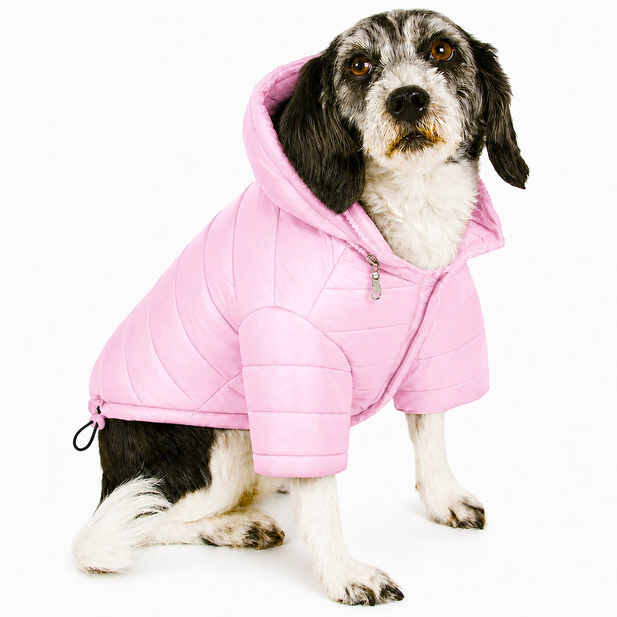 Pet Life Lightweight Adjustable and Collapsible Sporty Avalanche Dog Coat w/ Pop-out Zippered Hood | HT Animal Supply