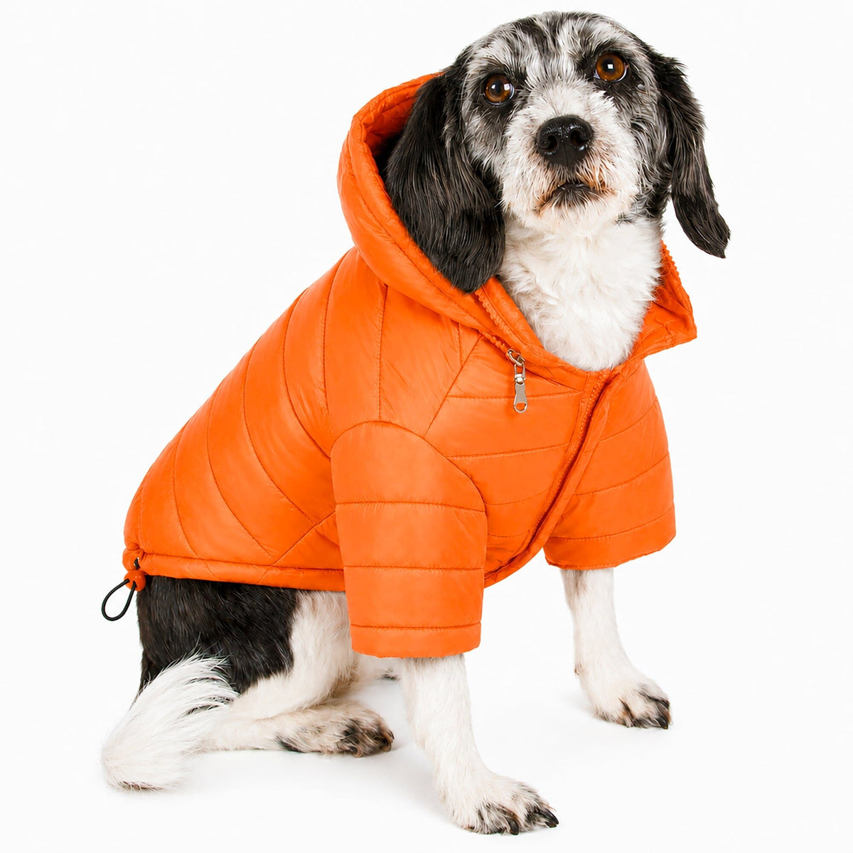 Pet Life Lightweight Adjustable and Collapsible Sporty Avalanche Dog Coat w/ Pop-out Zippered Hood | HT Animal Supply