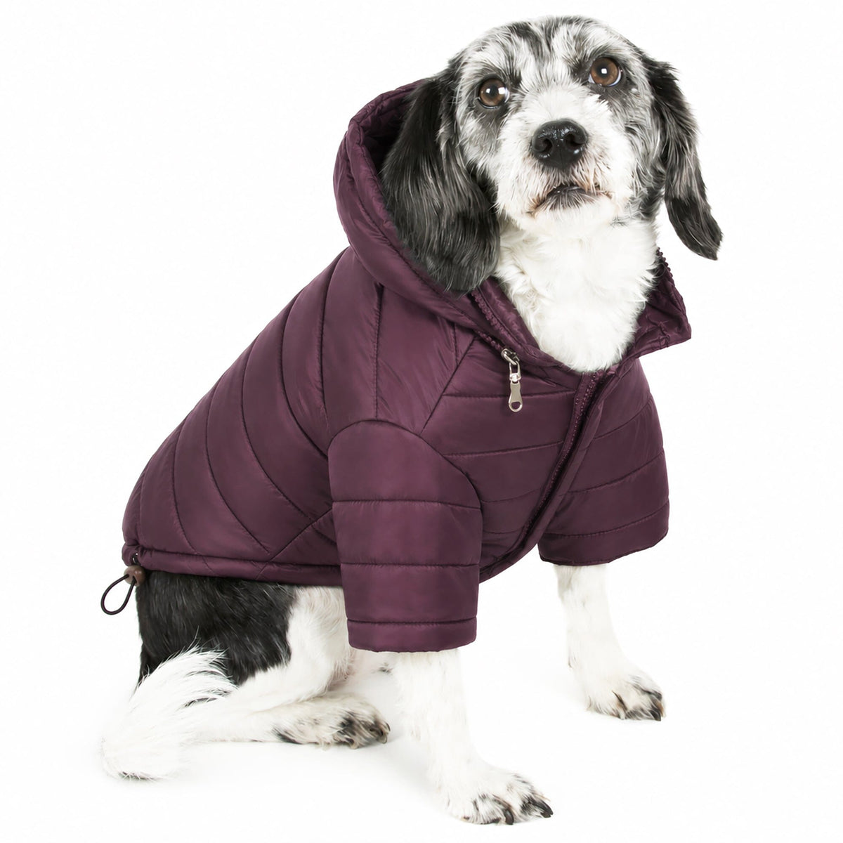 Pet Life Lightweight Adjustable and Collapsible Sporty Avalanche Dog Coat w/ Pop-out Zippered Hood | HT Animal Supply