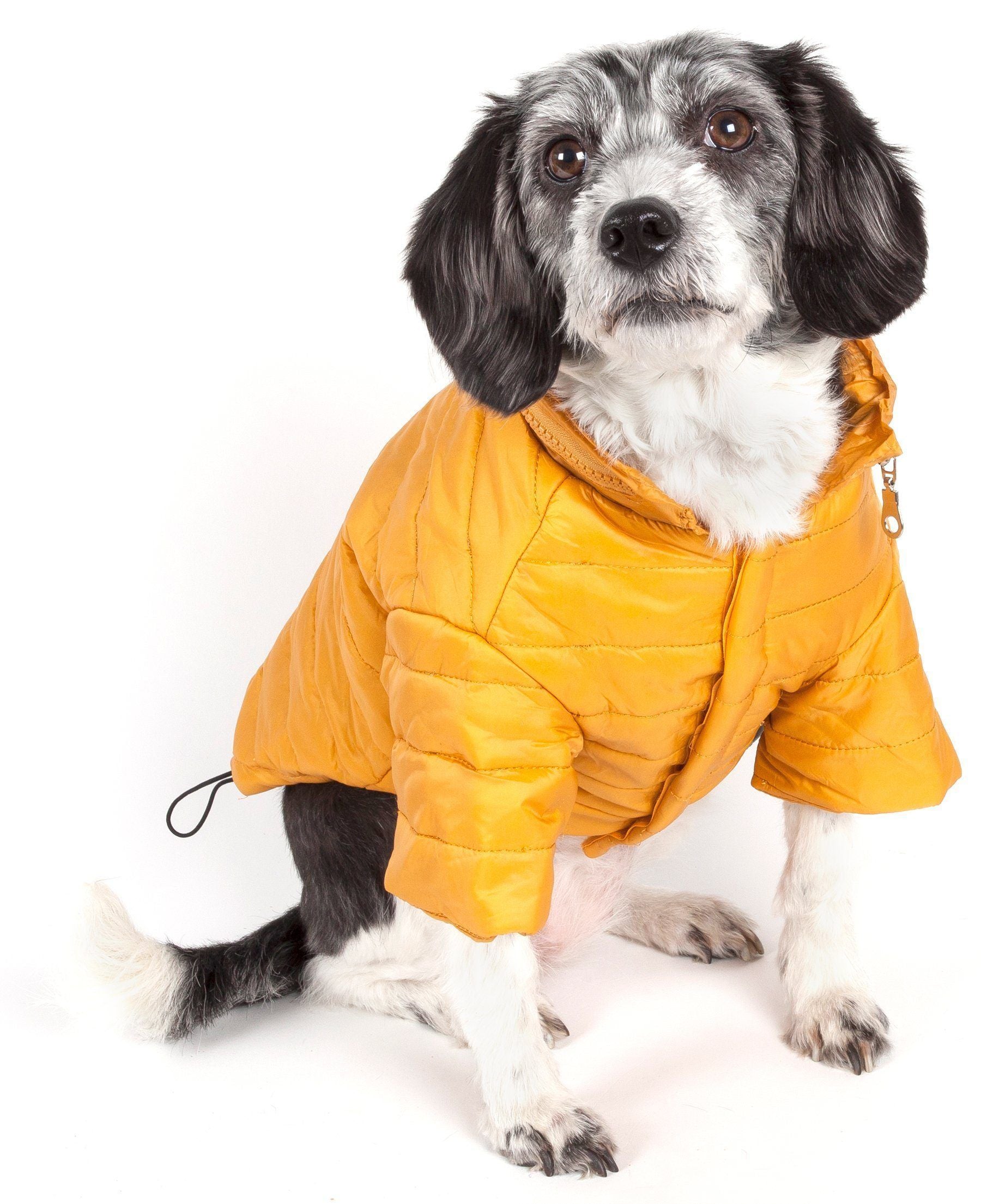 Pet Life ® Lightweight Adjustable and Collapsible Sporty Avalanche Dog Coat w/ Pop-out Zippered Hood