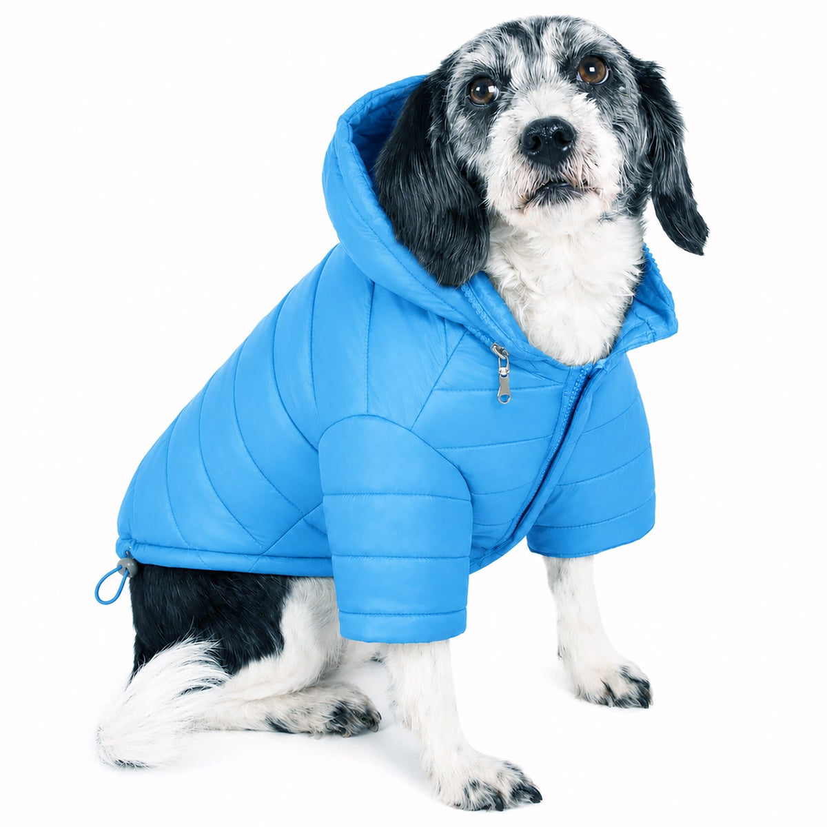 Pet Life Lightweight Adjustable and Collapsible Sporty Avalanche Dog Coat w/ Pop-out Zippered Hood | HT Animal Supply