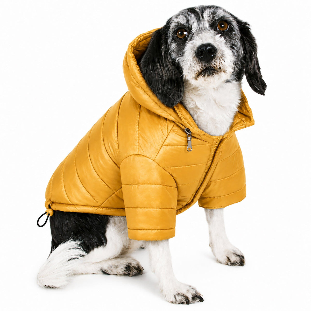 Pet Life Lightweight Adjustable and Collapsible Sporty Avalanche Dog Coat w/ Pop-out Zippered Hood | HT Animal Supply