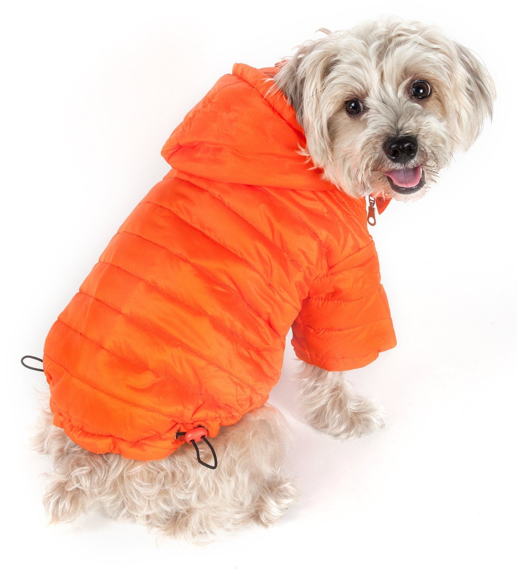 Pet Life ® Lightweight Adjustable and Collapsible Sporty Avalanche Dog Coat w/ Pop-out Zippered Hood