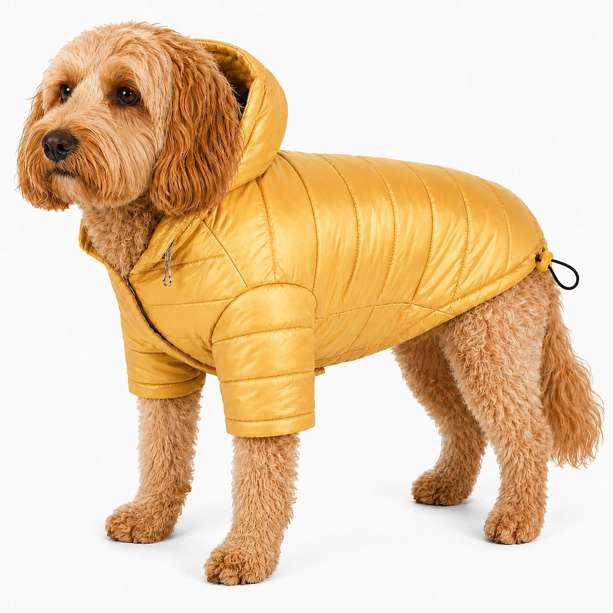 Pet Life Lightweight Adjustable and Collapsible Sporty Avalanche Dog Coat w/ Pop-out Zippered Hood | HT Animal Supply