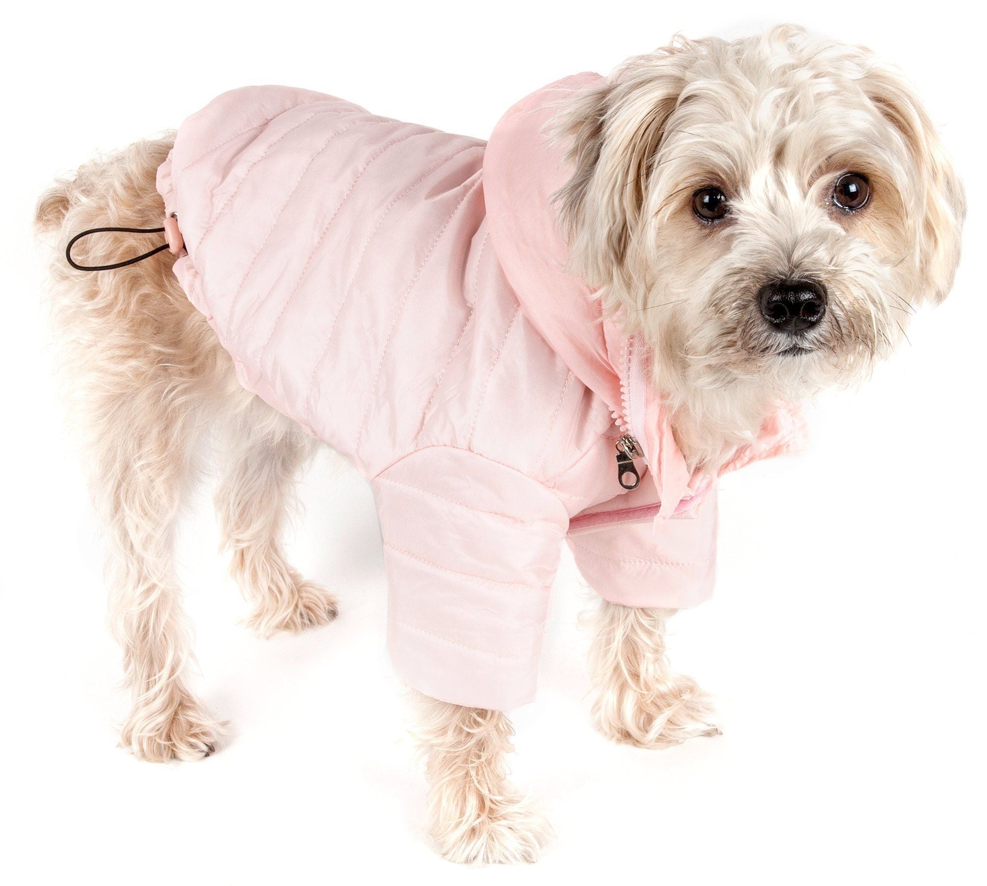 Pet Life ® Lightweight Adjustable and Collapsible Sporty Avalanche Dog Coat w/ Pop-out Zippered Hood