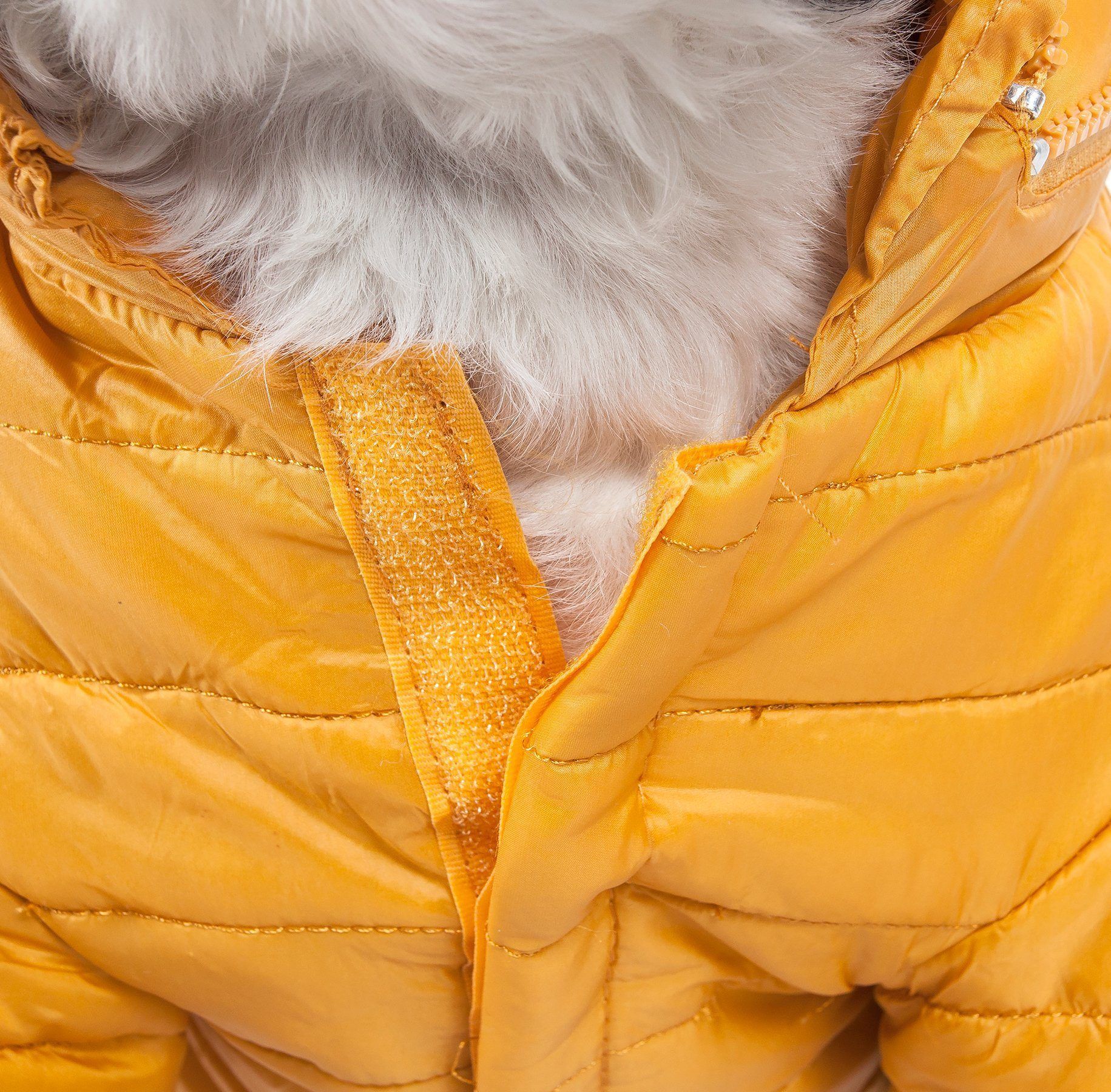 Pet Life Lightweight Adjustable and Collapsible Sporty Avalanche Dog Coat w/ Pop-out Zippered Hood